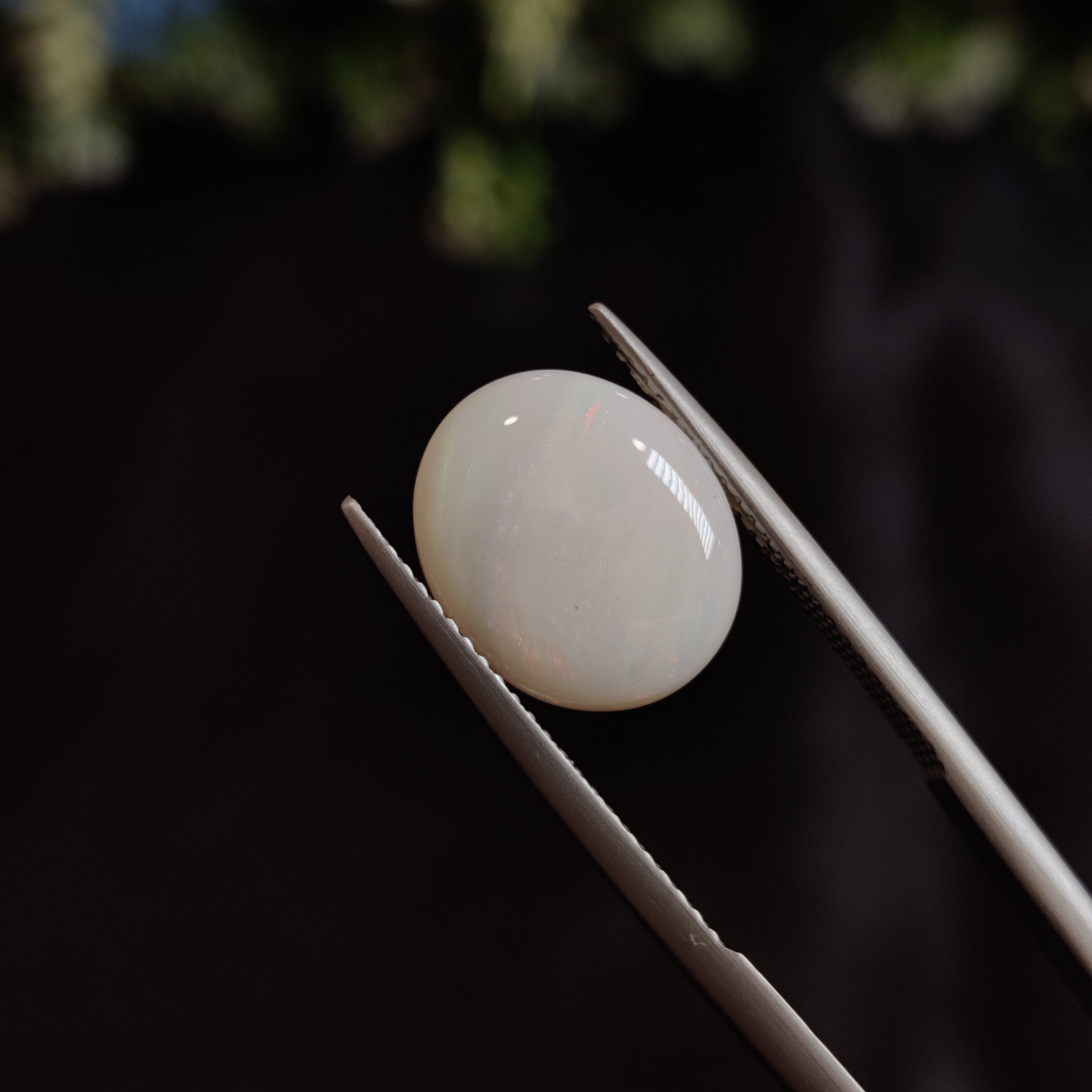 Opal | OPAL 18 | 2.95 Carat