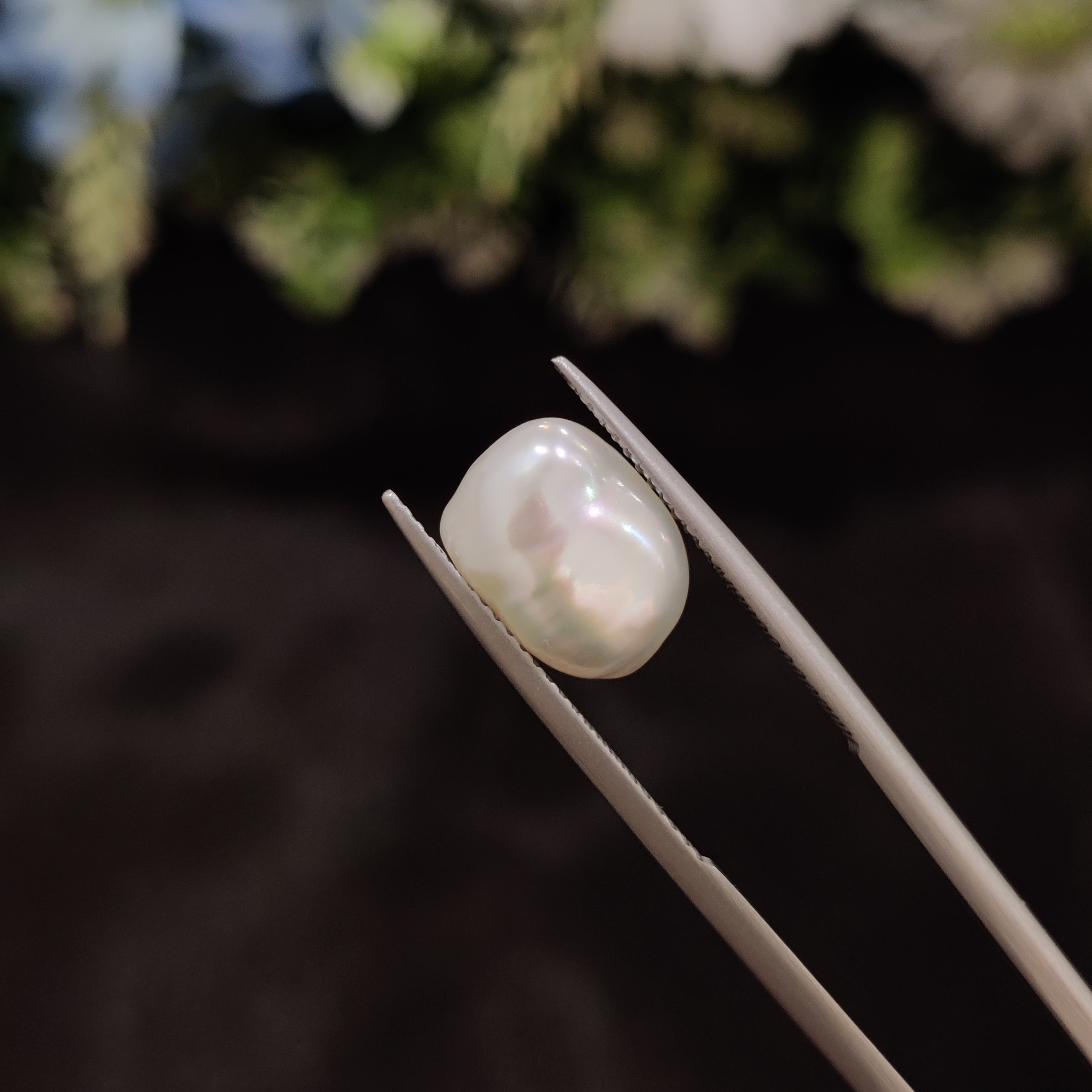 Pearl | Pearl 267 | 5.94 Carat