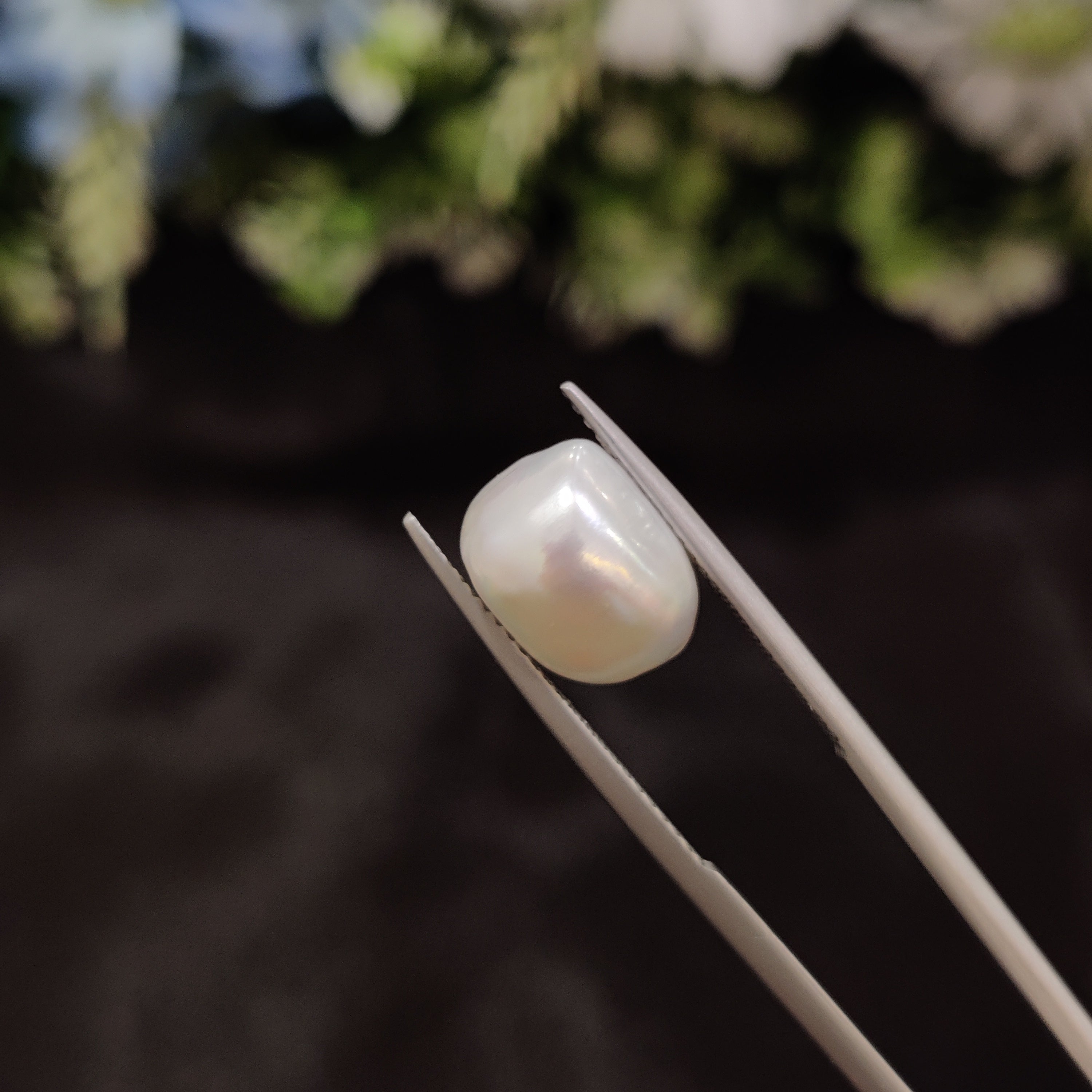 Pearl | Pearl 267 | 5.94 Carat