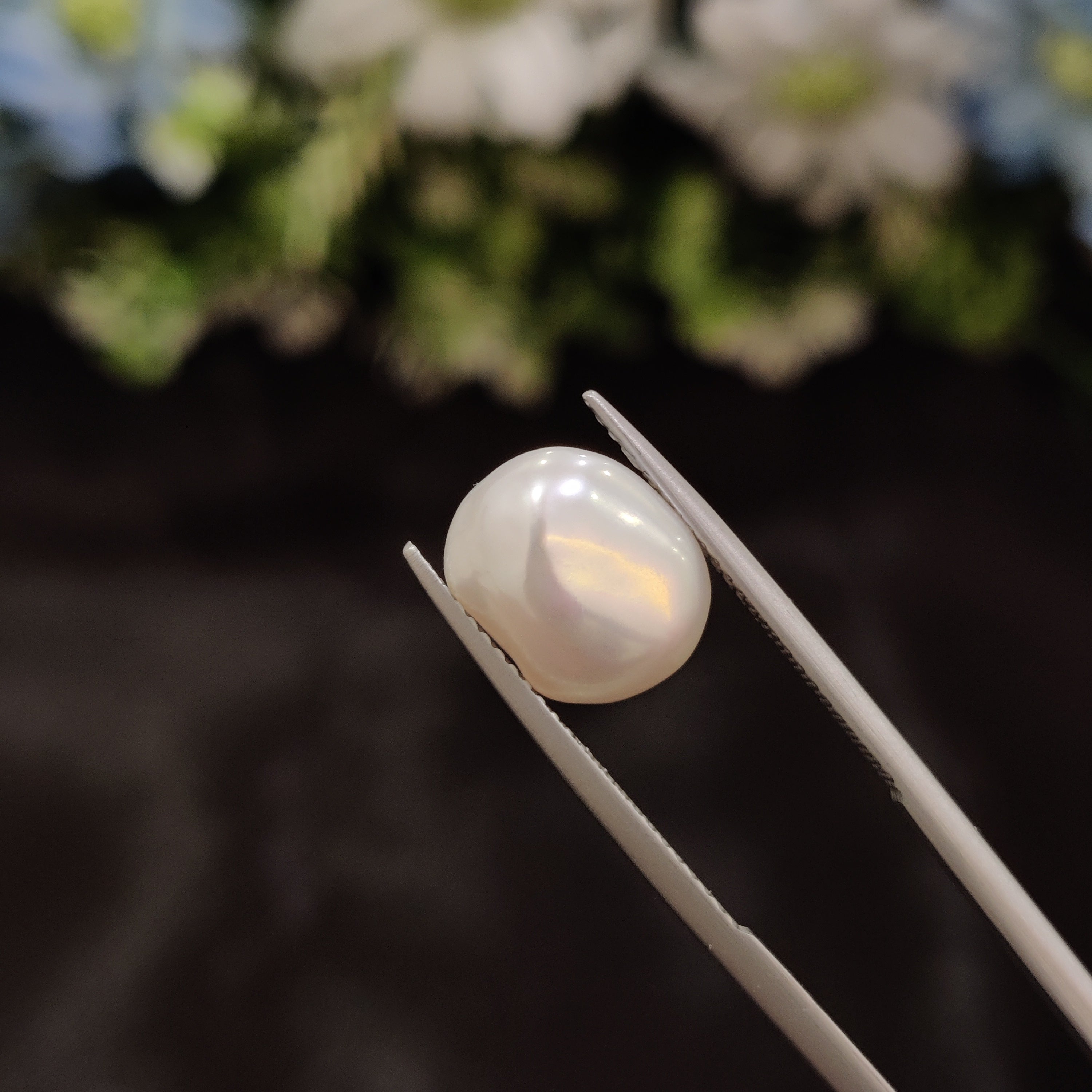Pearl | Pearl 257 | 5.65 Carat