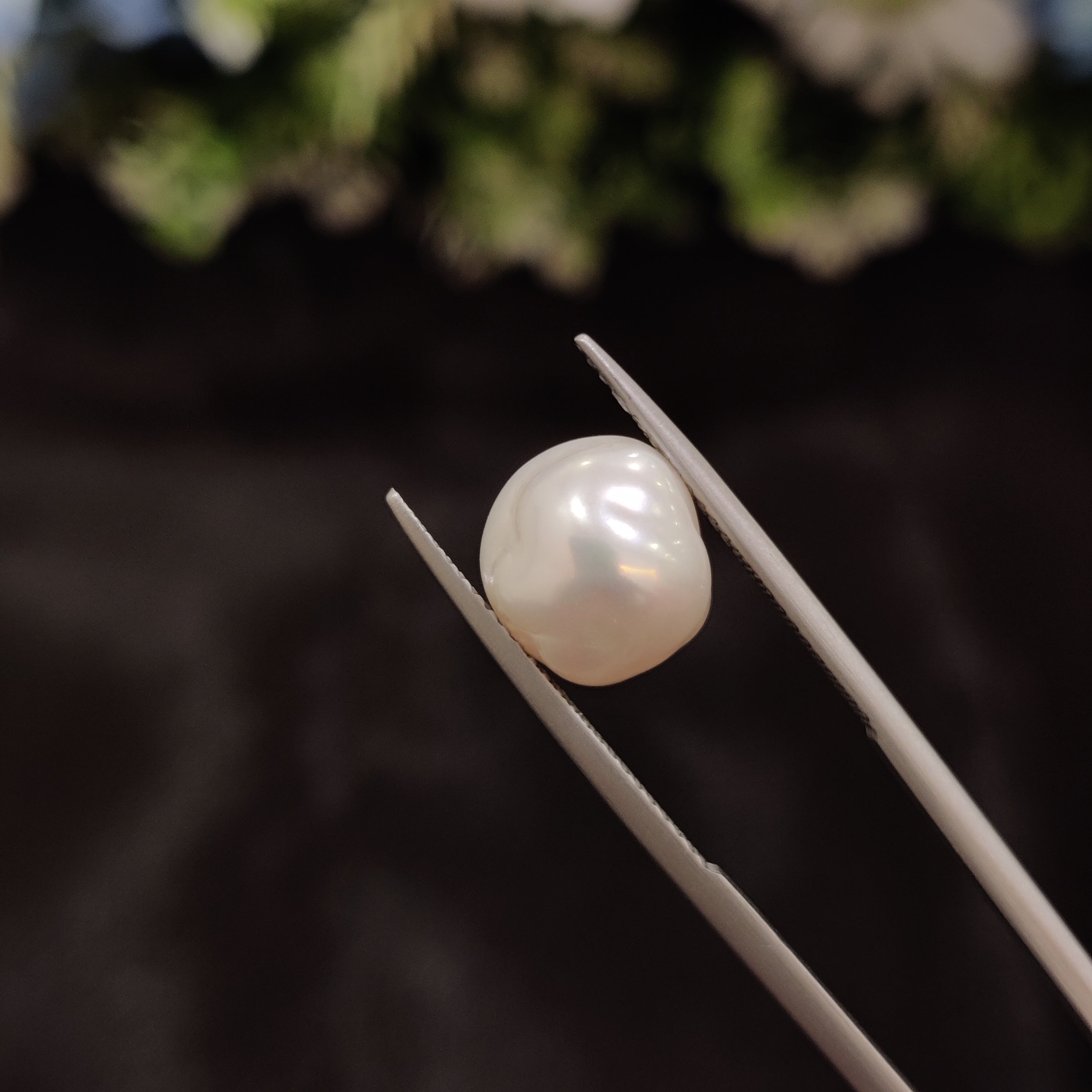 Pearl | Pearl 248 | 5.53 Carat