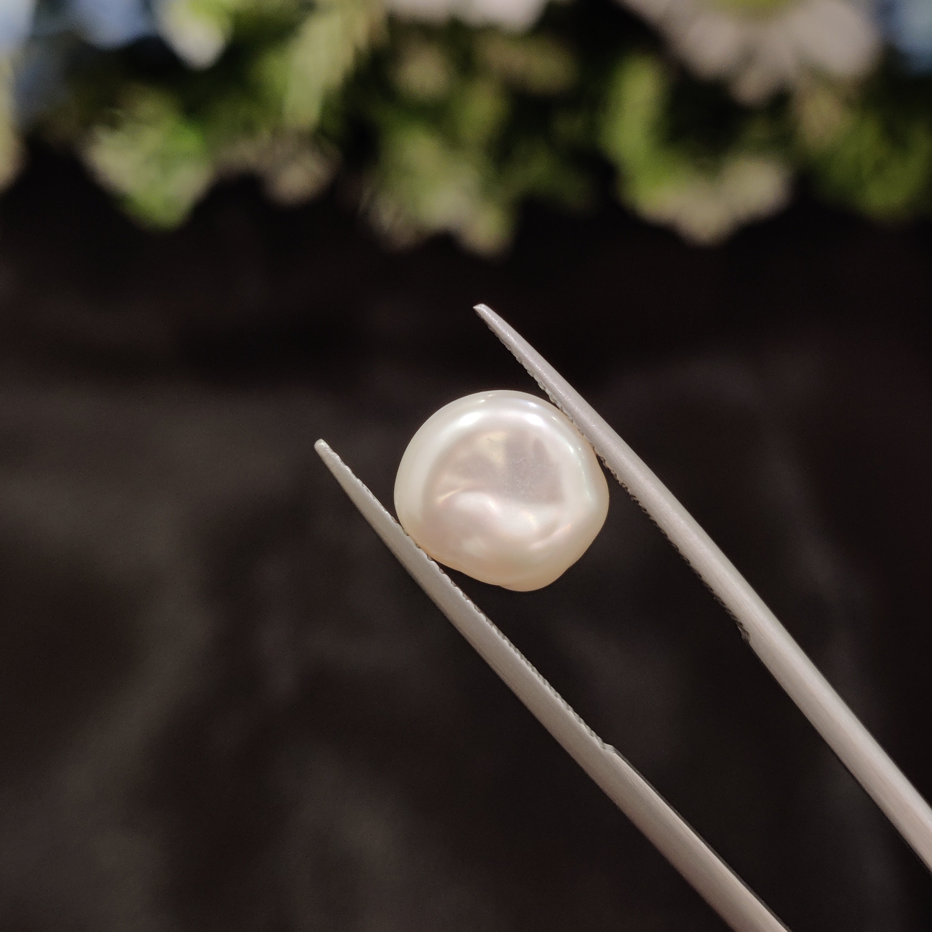 Pearl | Pearl 248 | 5.53 Carat
