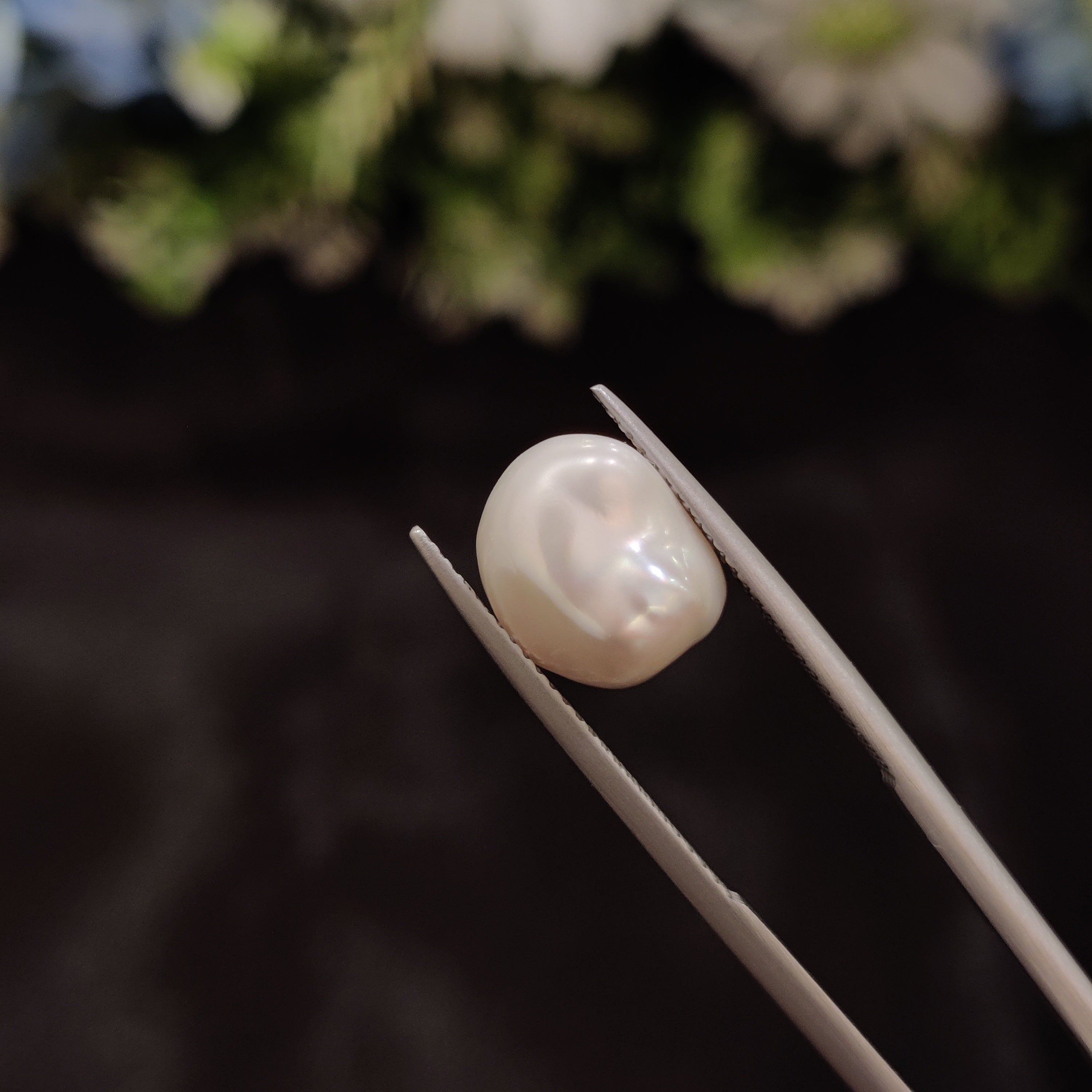 Pearl | Pearl 272 | 5.48 Carat