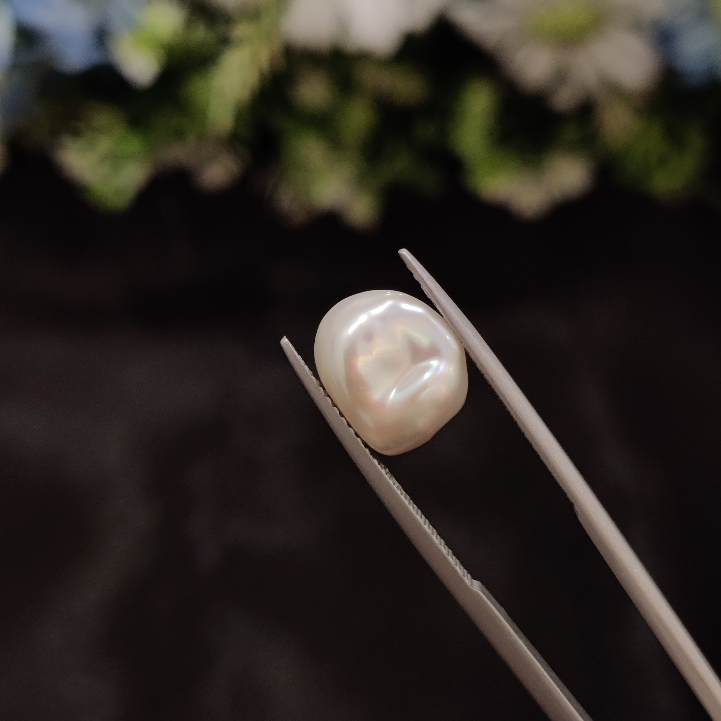 Pearl | Pearl 272 | 5.48 Carat