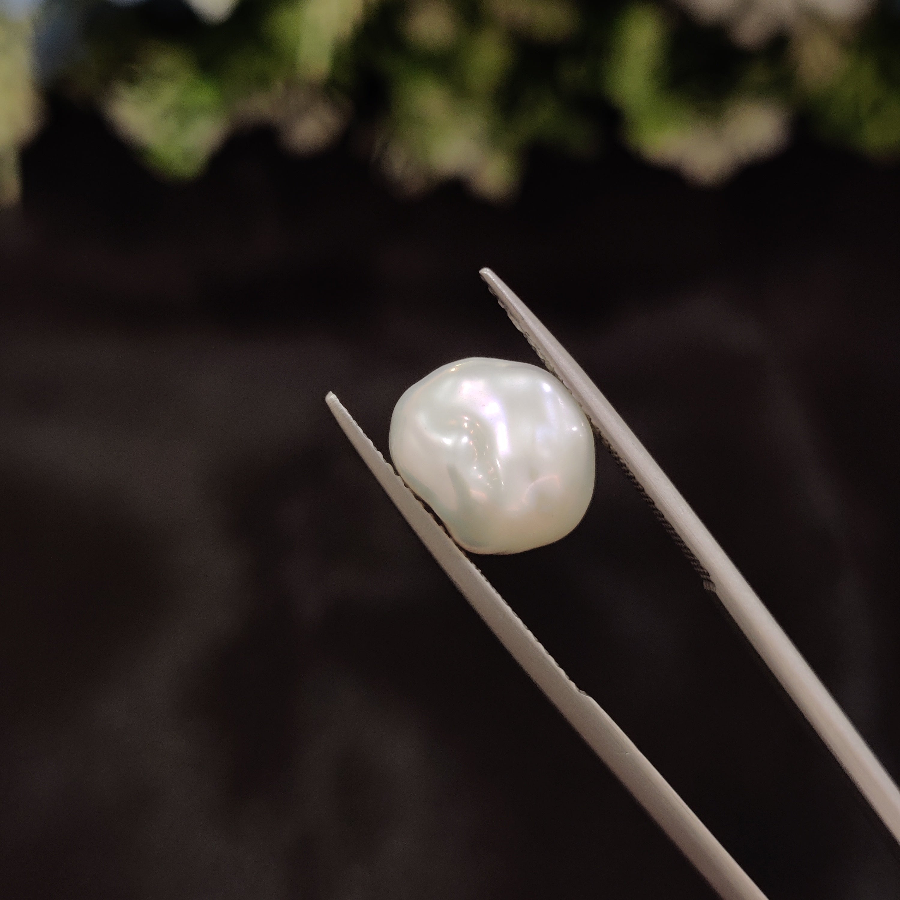 Pearl | Pearl 271 | 5.66 Carat