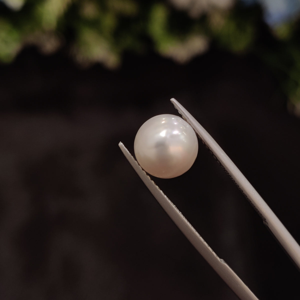 Natural Pearl (Moti) | Pearl 24 | 4.91 Carat | Certified
