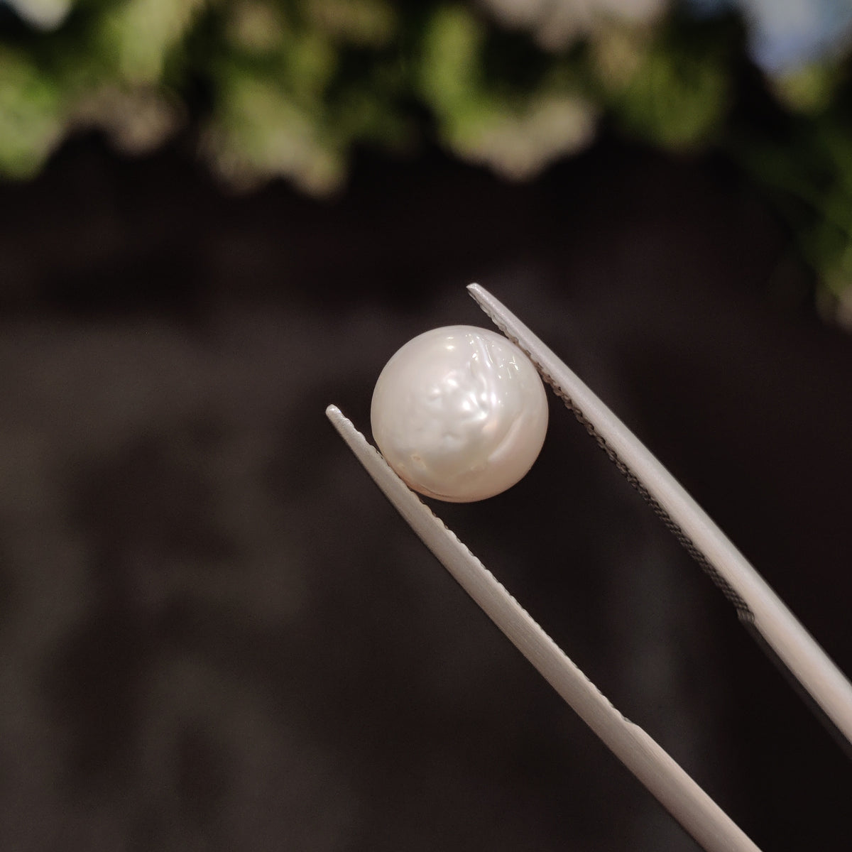 Natural Pearl (Moti) | Pearl 24 | 4.91 Carat | Certified