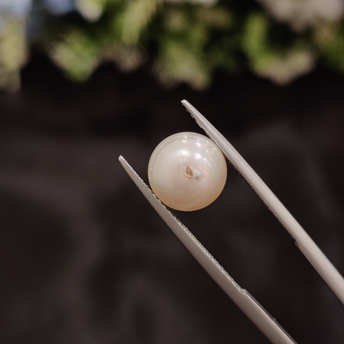 Natural Pearl (Moti) | Pearl 23 | 4.76 Carat | Certified