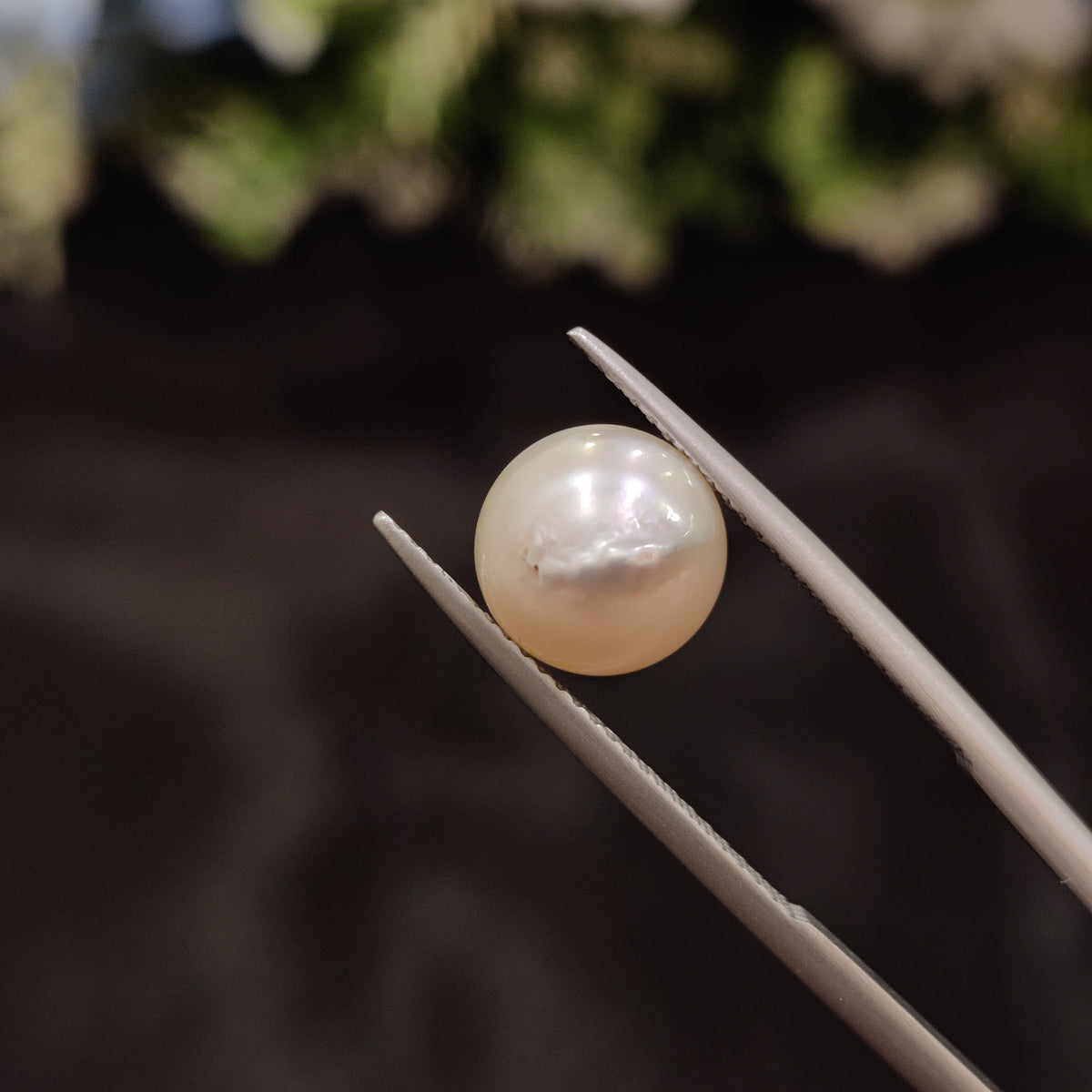 Natural Pearl (Moti) | Pearl 23 | 4.76 Carat | Certified