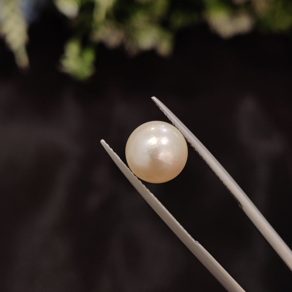 Natural Pearl (Moti) | Pearl 68 | 5.59 Carat | Certified