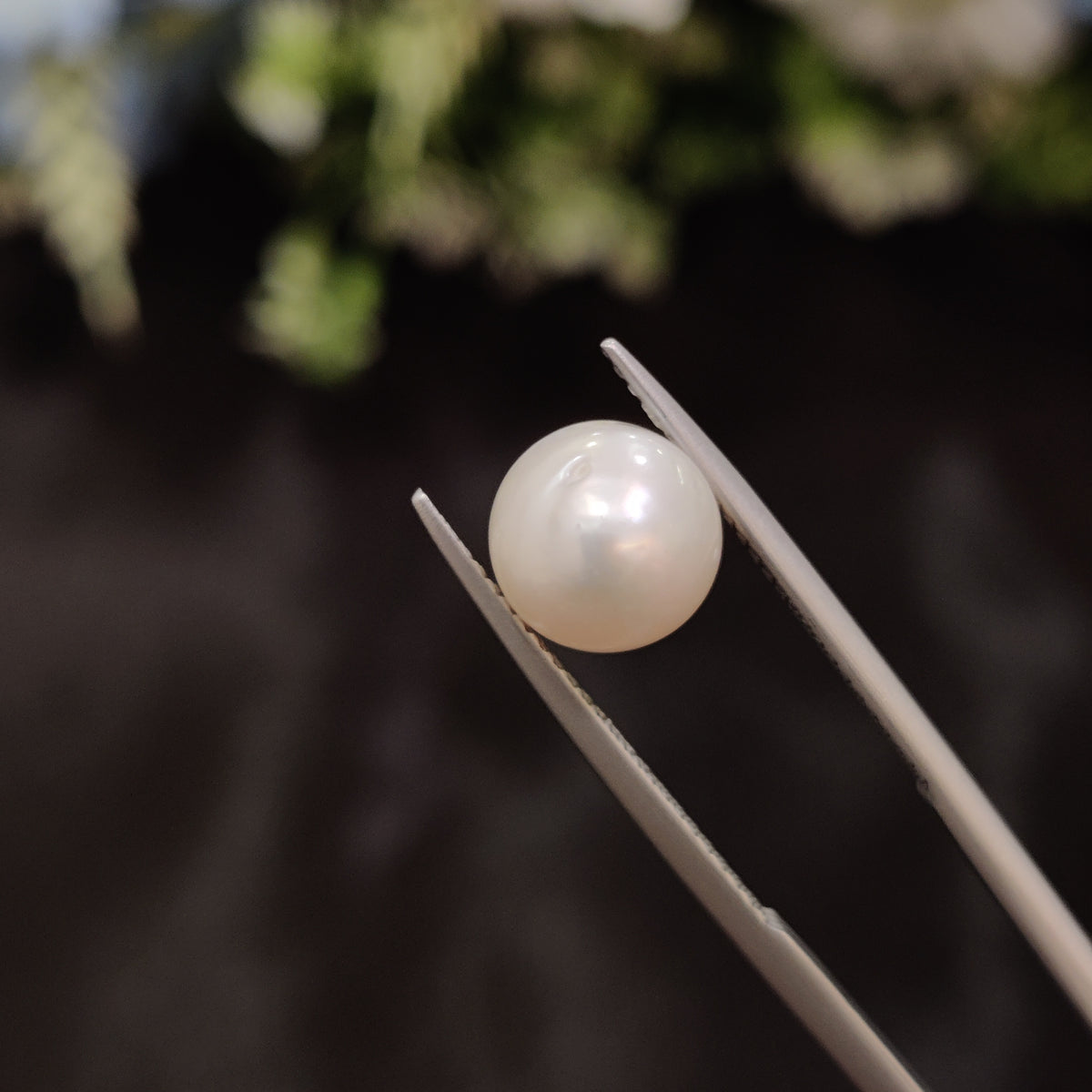 Natural Pearl (Moti) | Pearl 26 | 4.68 Carat | Certified