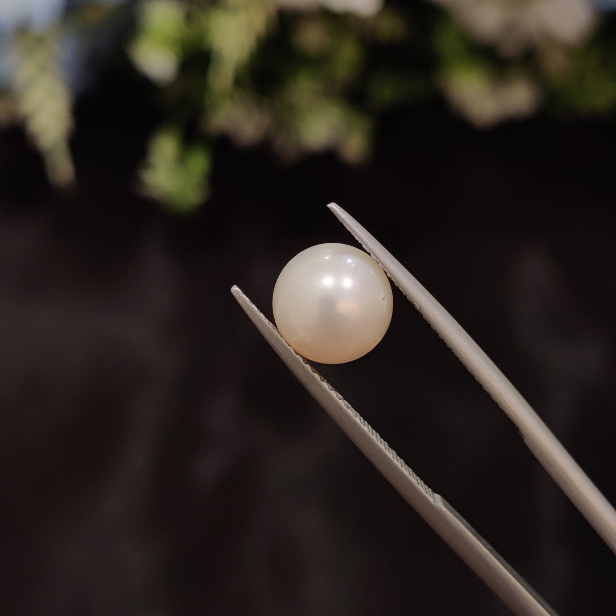 Natural Pearl (Moti) | Pearl 26 | 4.68 Carat | Certified