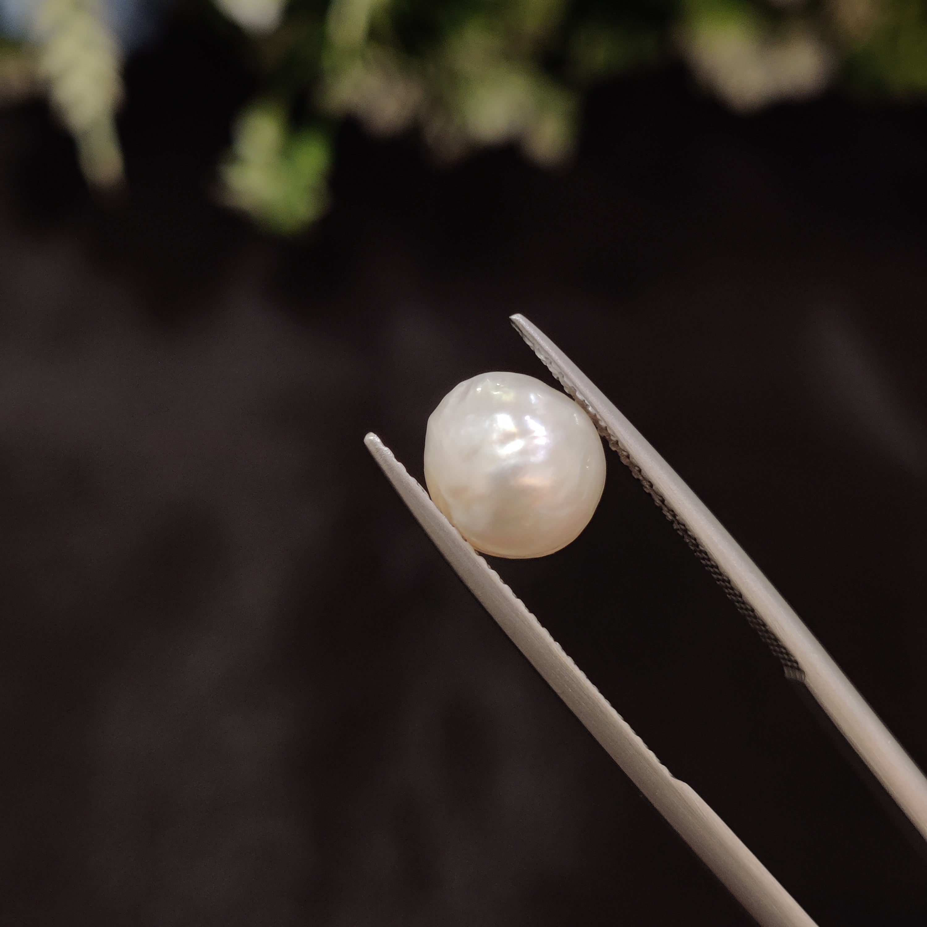 Pearl | Pearl 16 | 4.21 Carat