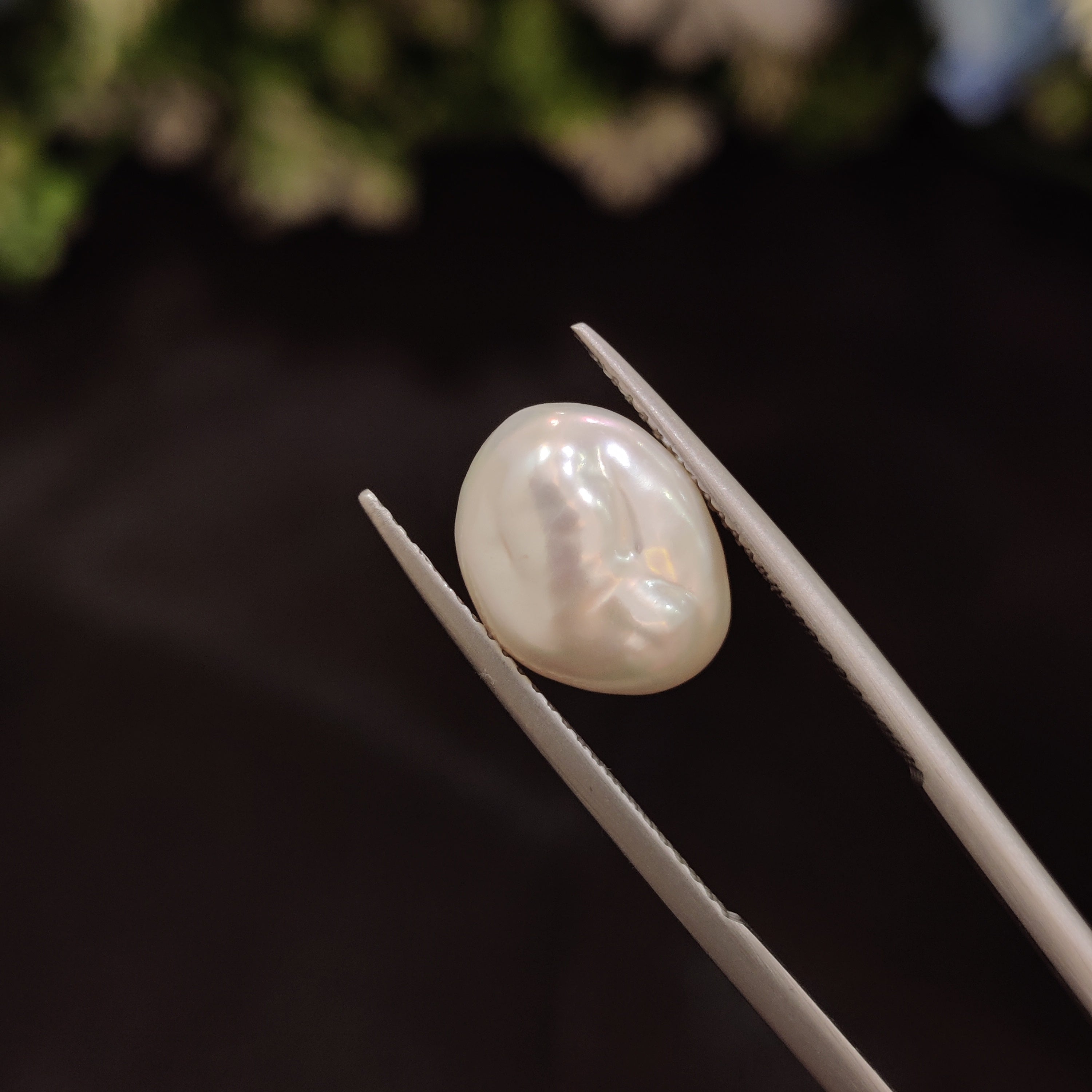 Pearl | Pearl 269 | 5.23 Carat