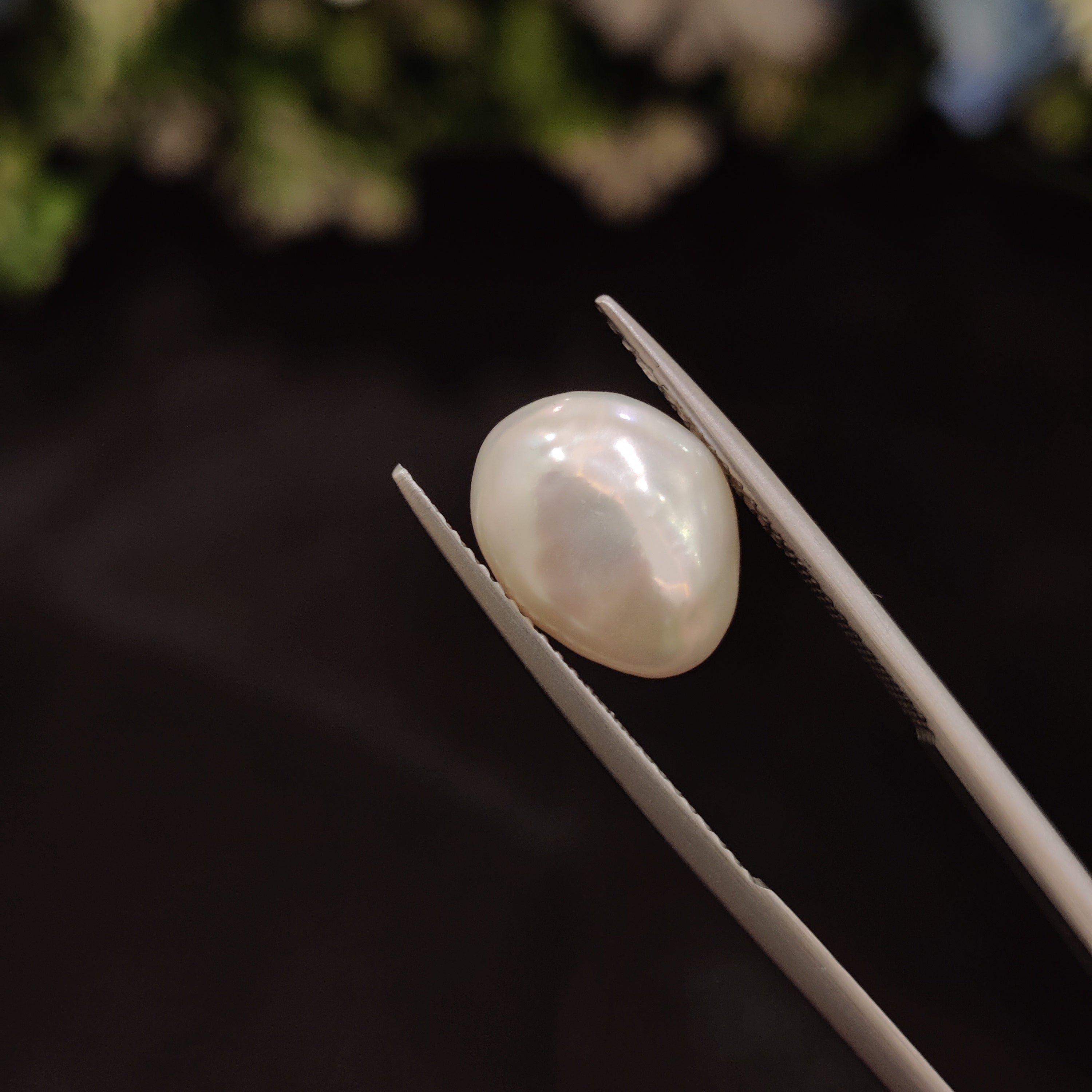 Pearl | Pearl 269 | 5.23 Carat