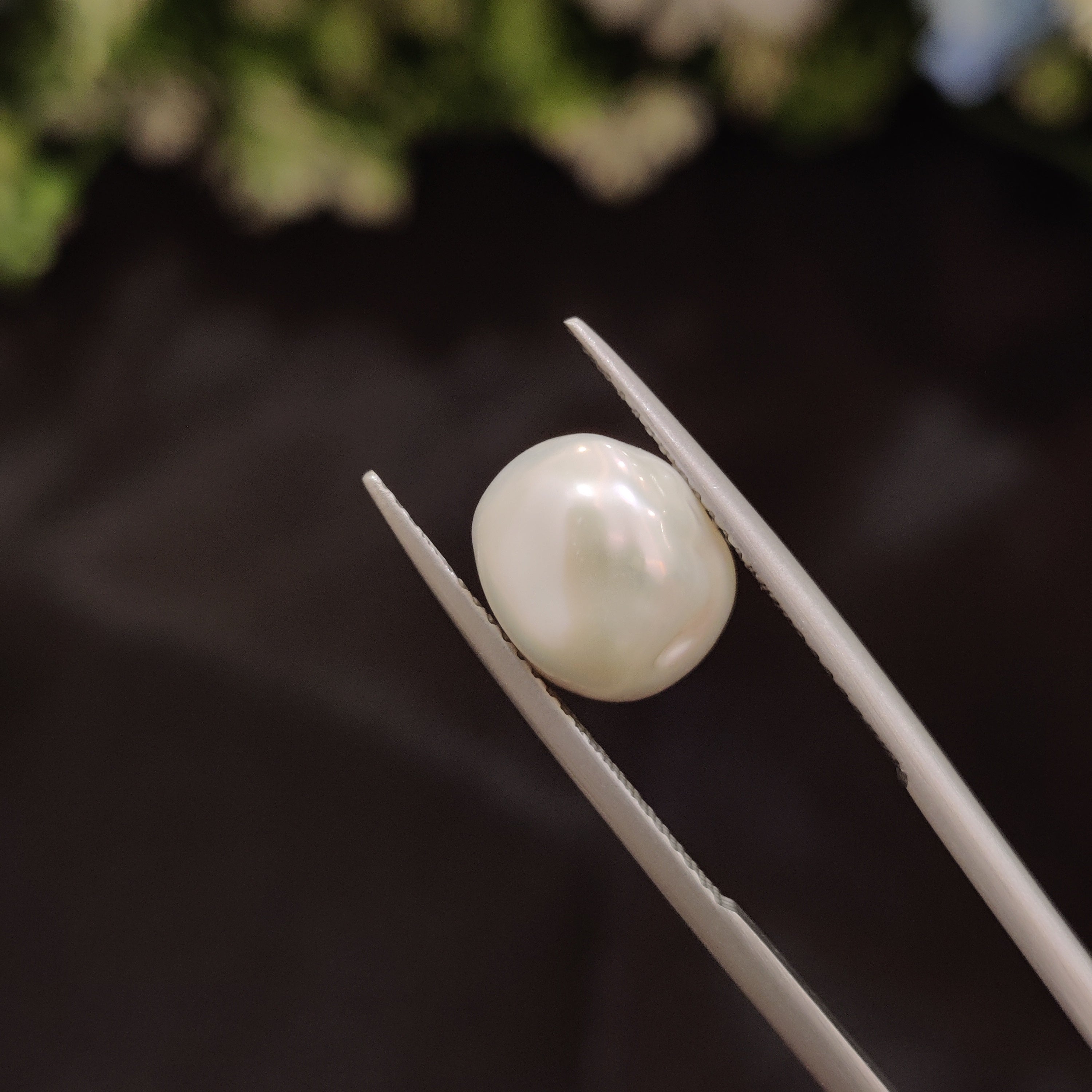 Pearl | Pearl 249 | 4.53 Carat