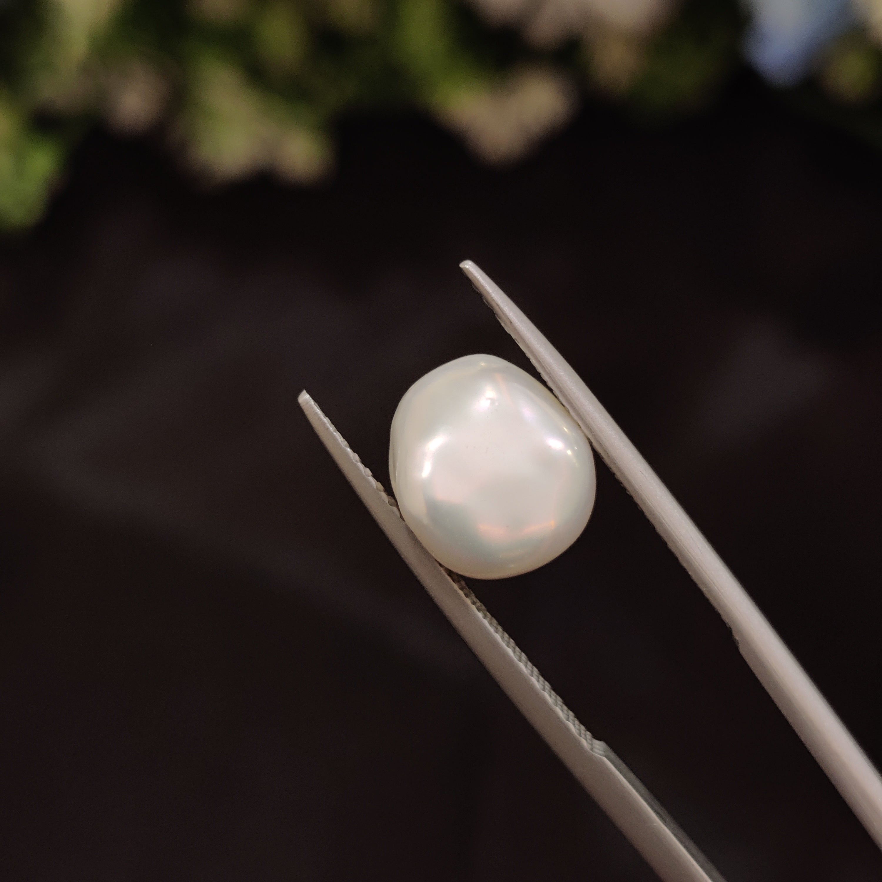 Pearl | Pearl 249 | 4.53 Carat