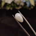 Pearl | Pearl 254 | 4.73 Carat