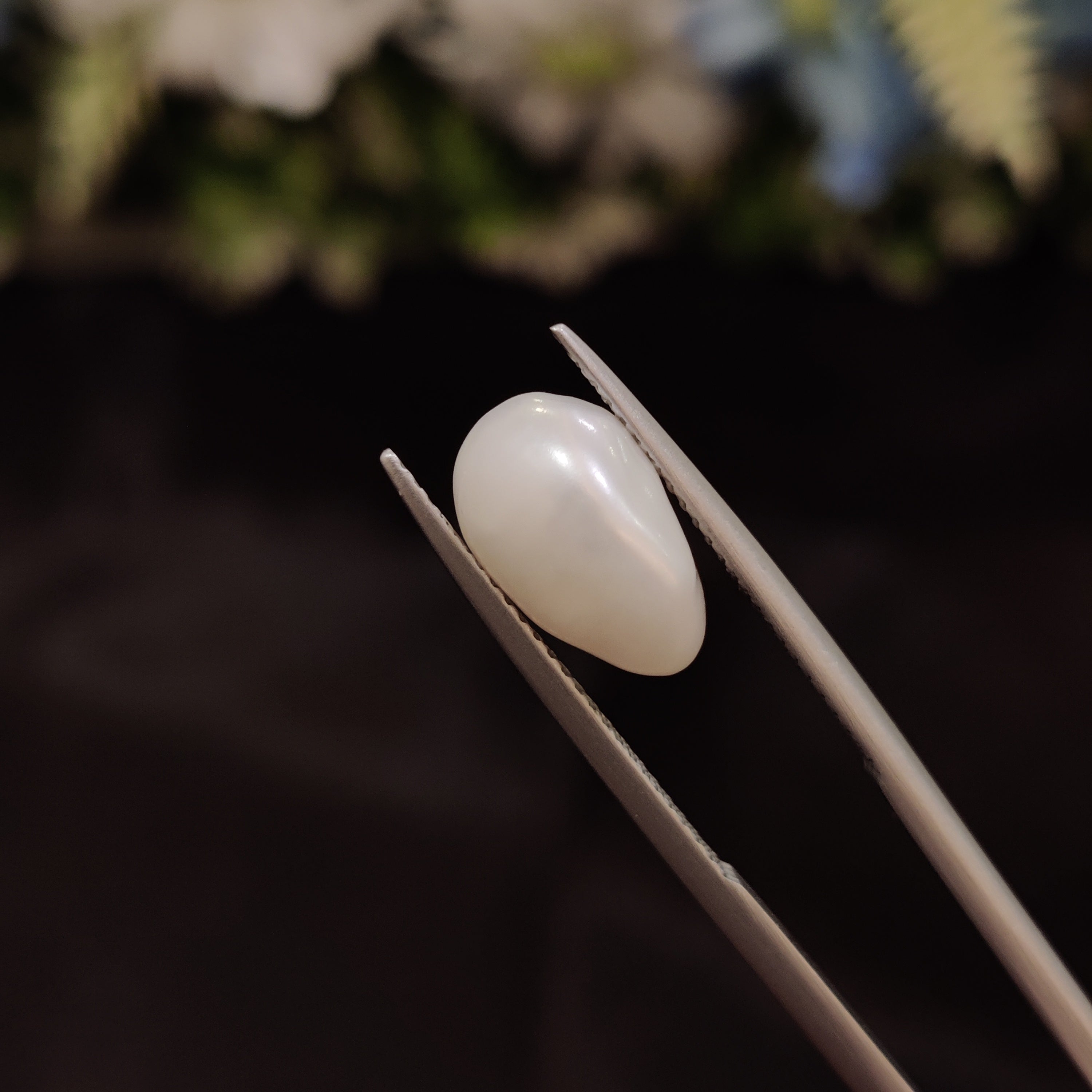 Pearl | Pearl 254 | 4.73 Carat