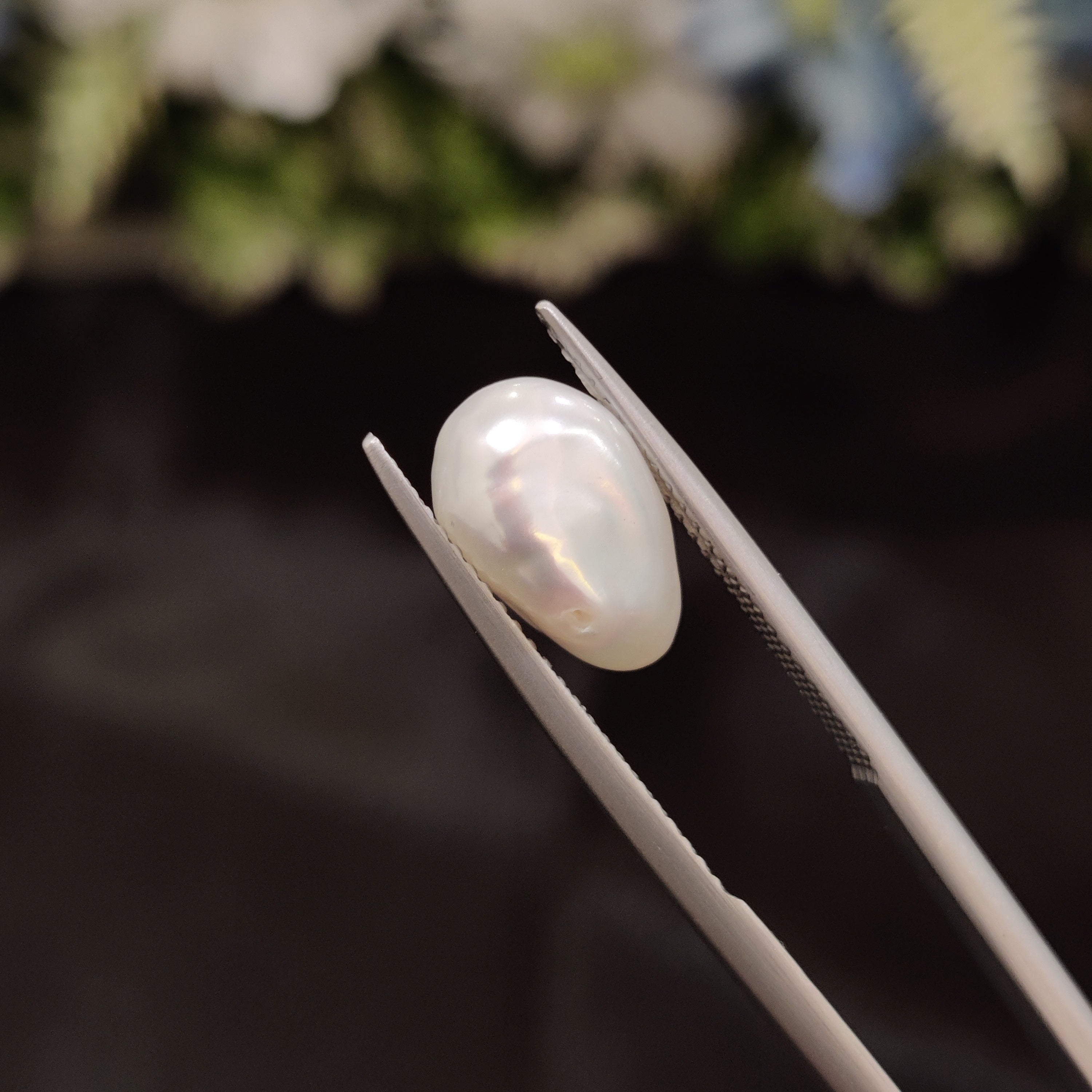 Pearl | Pearl 254 | 4.73 Carat