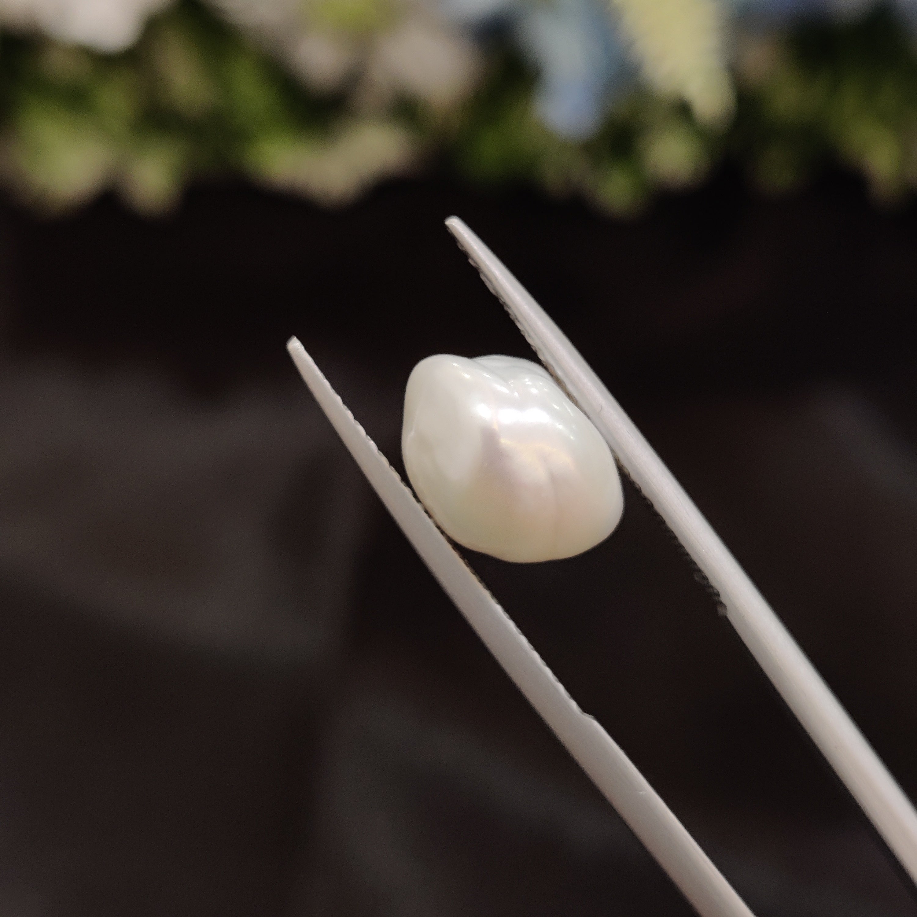 Pearl | Pearl 253 | 4.81 Carat