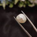 Pearl | Pearl 256 | 4.62 Carat