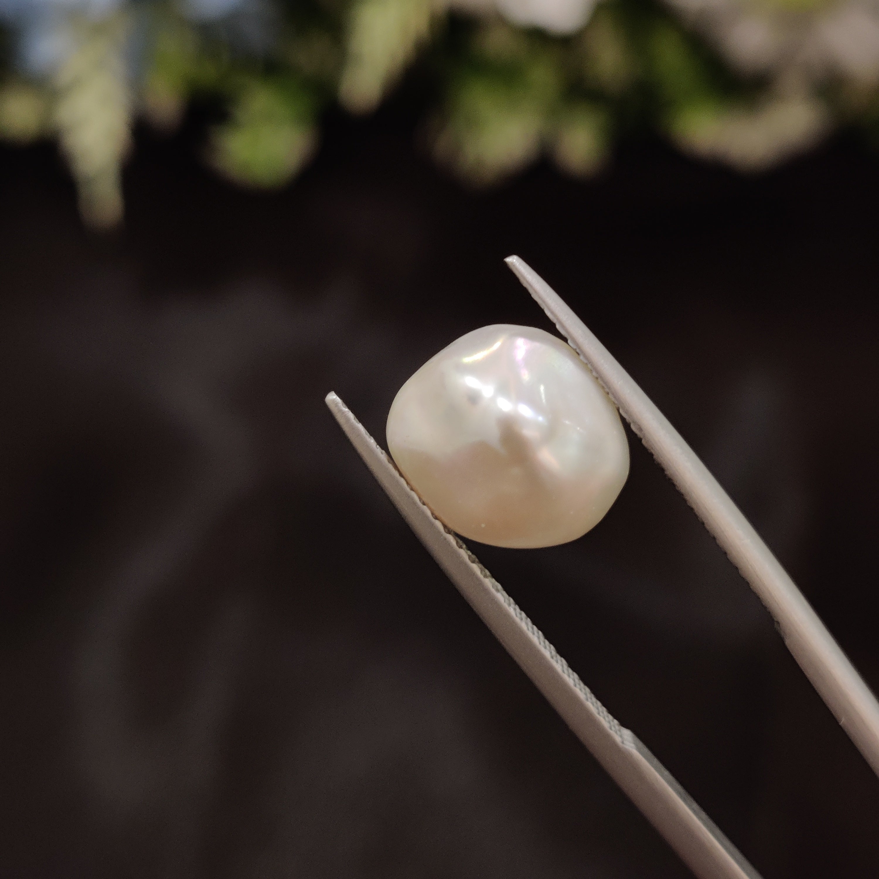 Pearl | Pearl 256 | 4.62 Carat