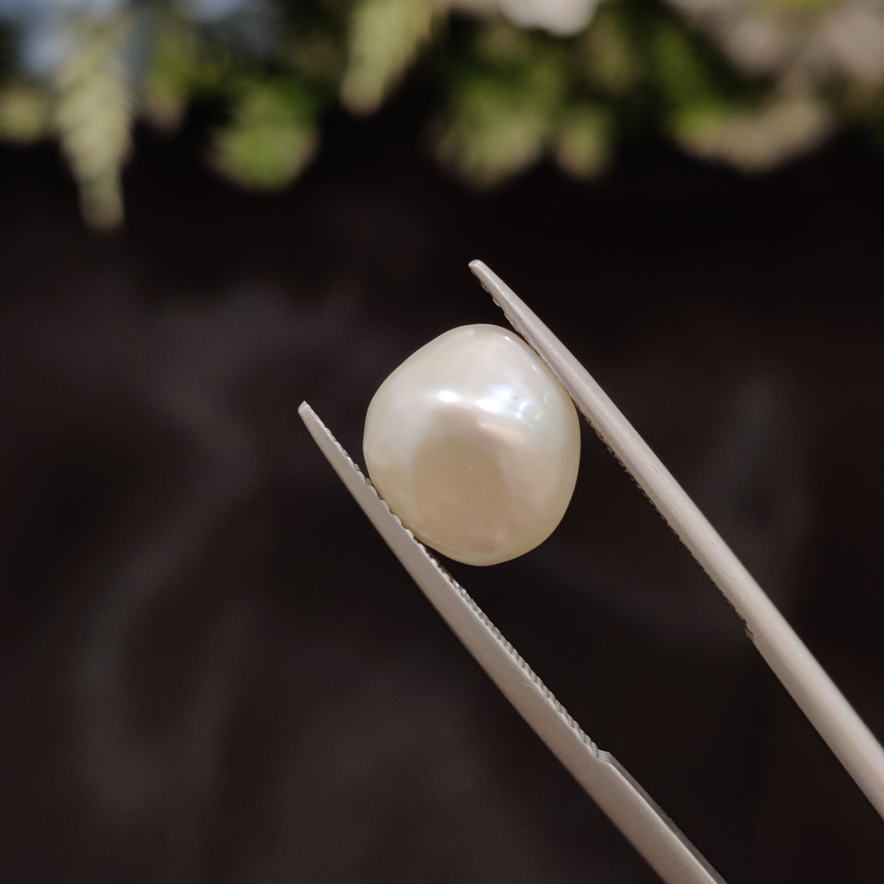 Pearl | Pearl 256 | 4.62 Carat