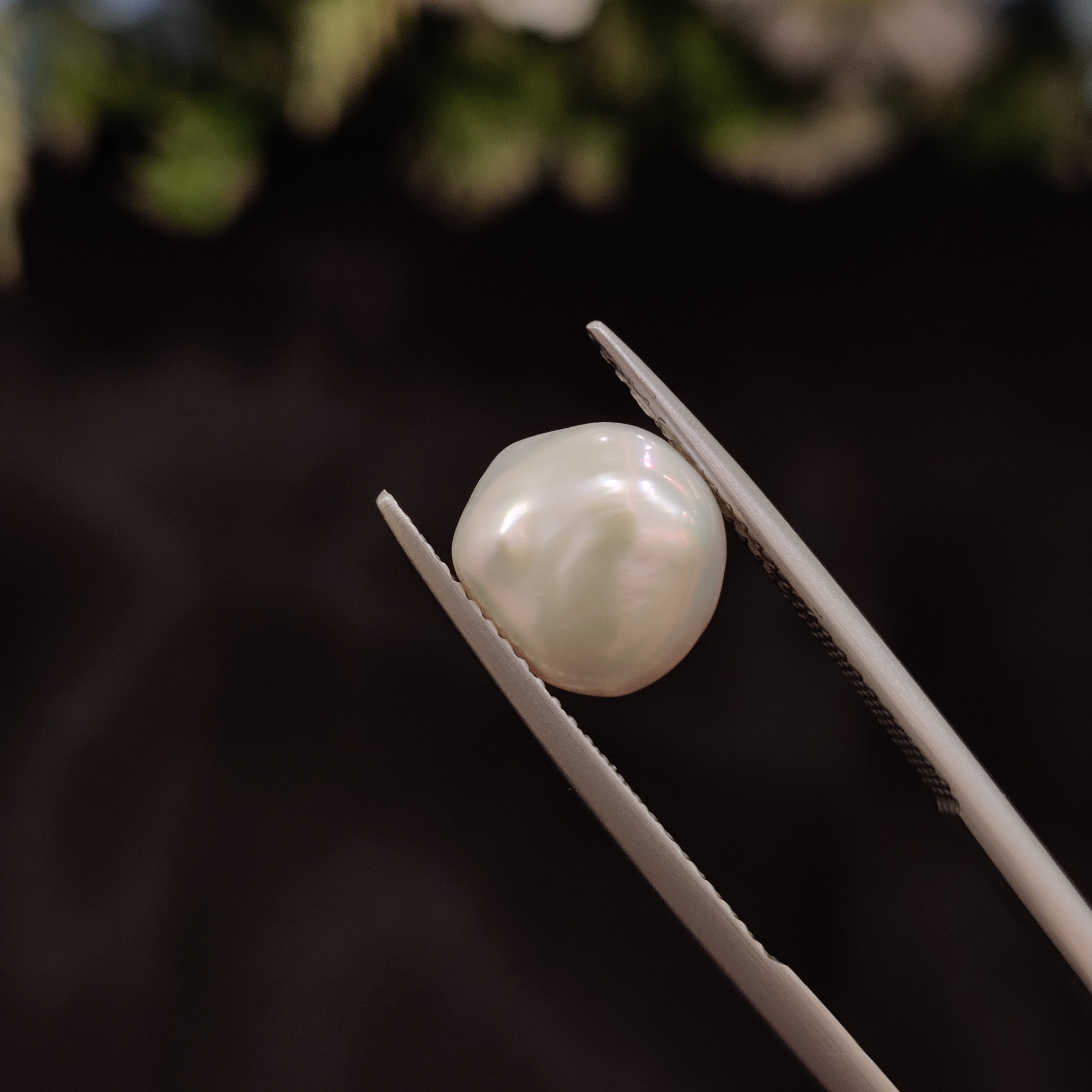 Pearl | Pearl 270 | 4.32 Carat