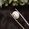Pearl | Pearl 275 | 5.29 Carat