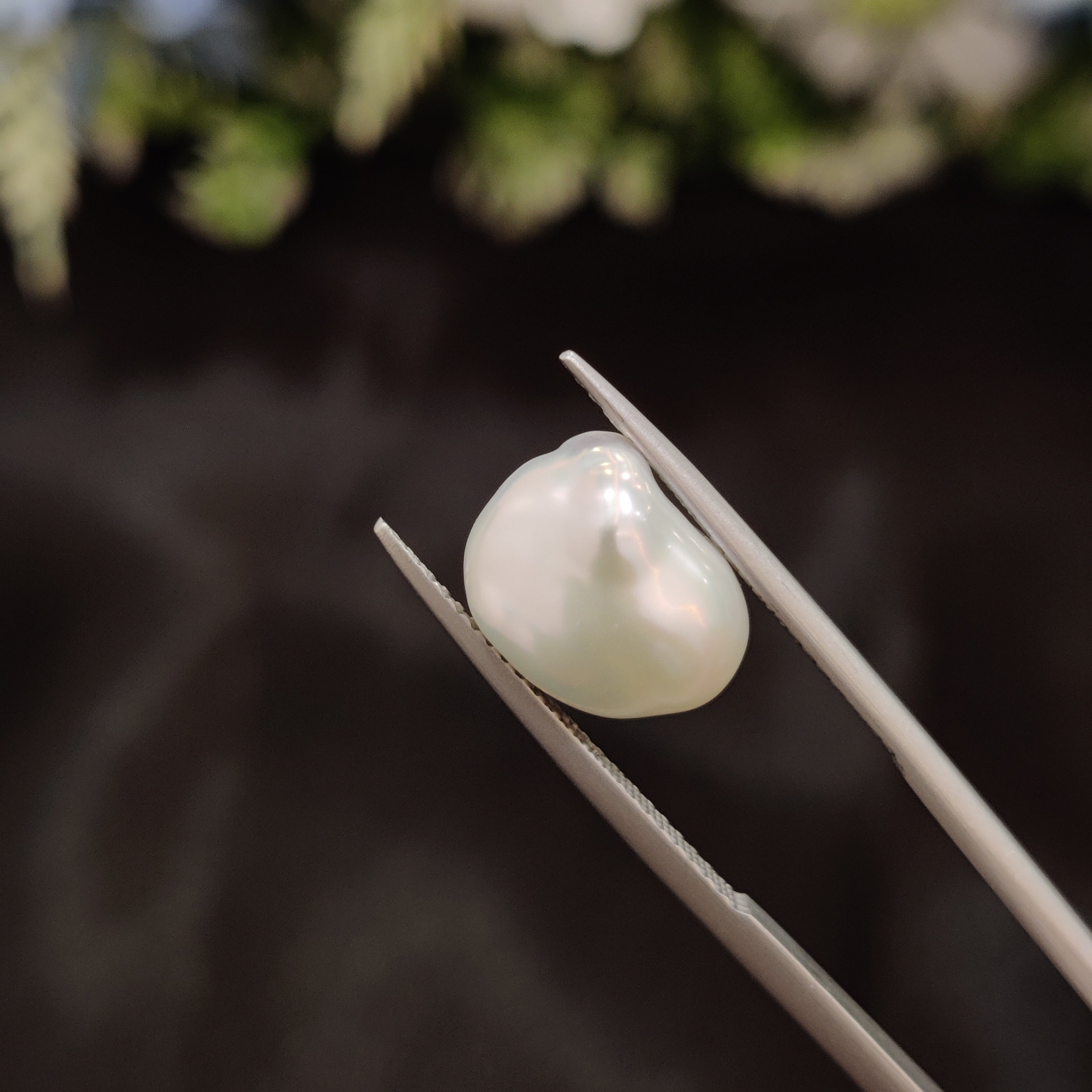 Pearl | Pearl 275 | 5.29 Carat