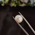 Pearl | Pearl 255 | 4.8 Carat