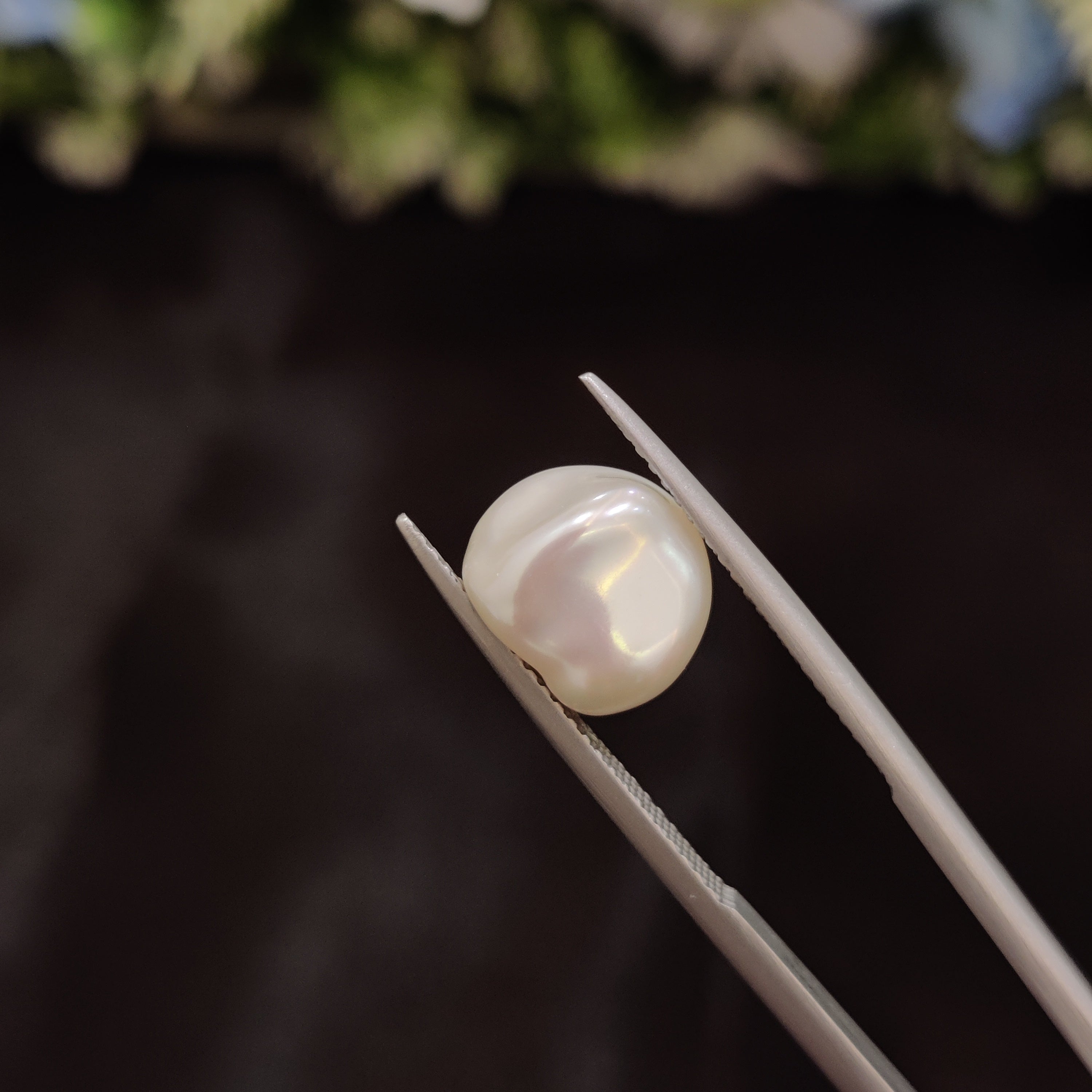 Pearl | Pearl 255 | 4.8 Carat