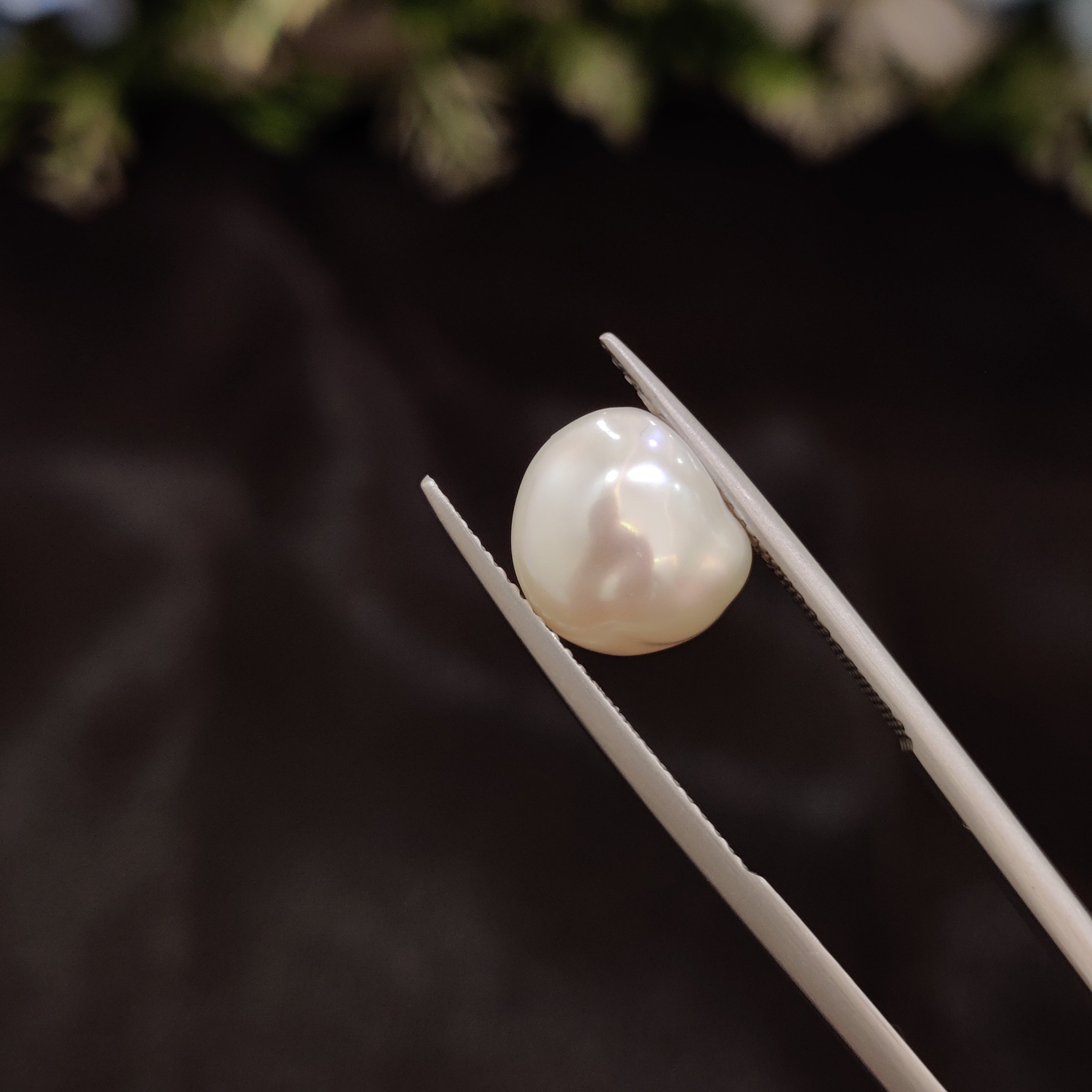 Pearl | Pearl 255 | 4.8 Carat