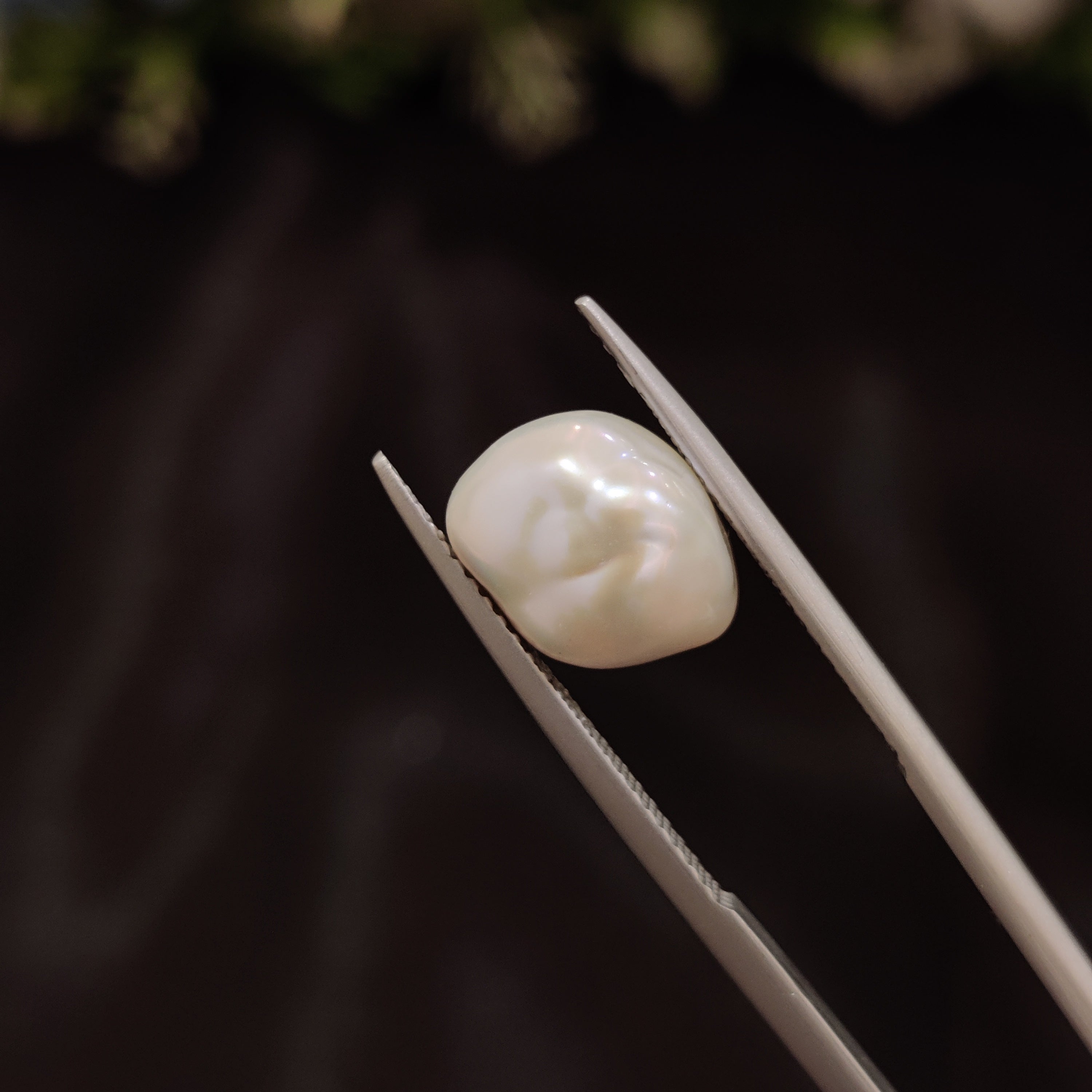 Pearl | Pearl 259 | 4.75 Carat