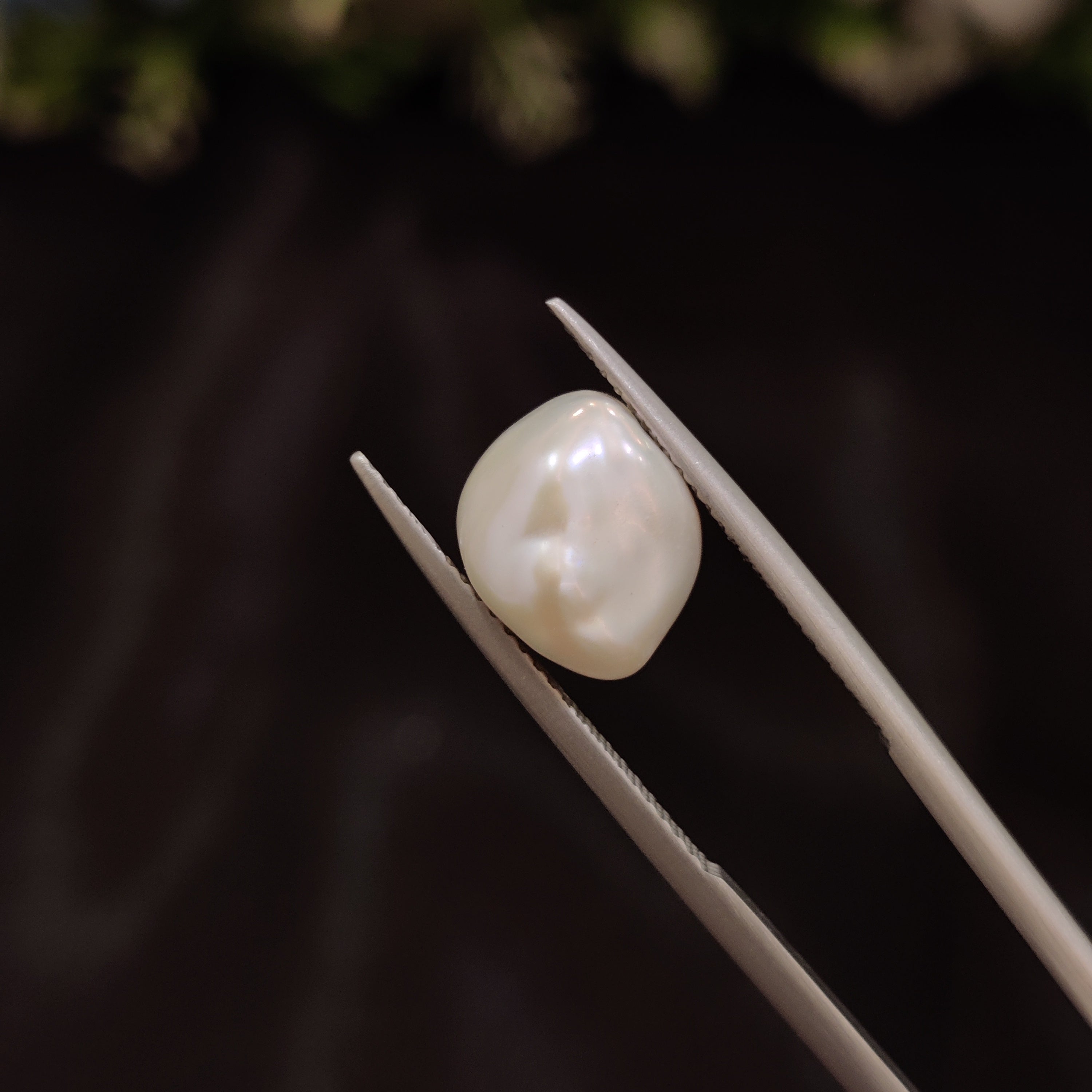Pearl | Pearl 259 | 4.75 Carat