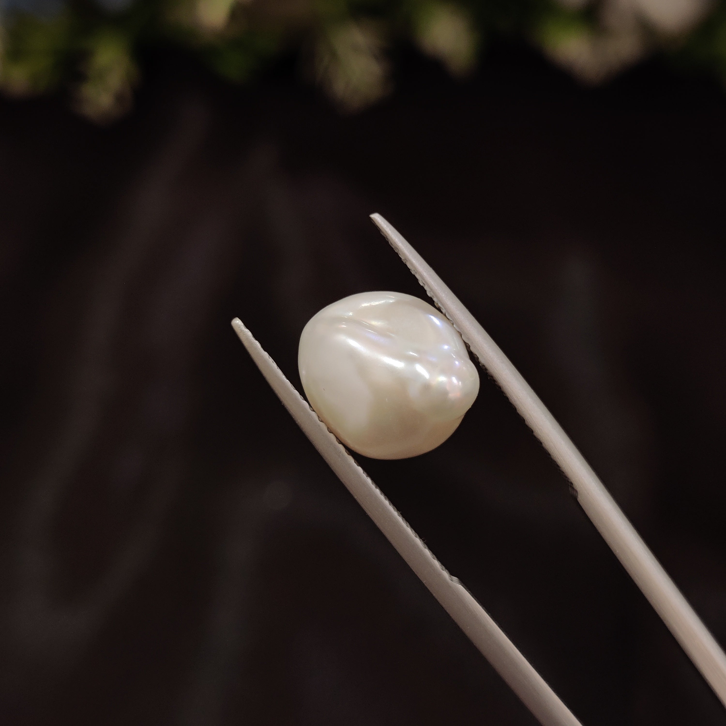 Pearl | Pearl 224 | 5.09 Carat