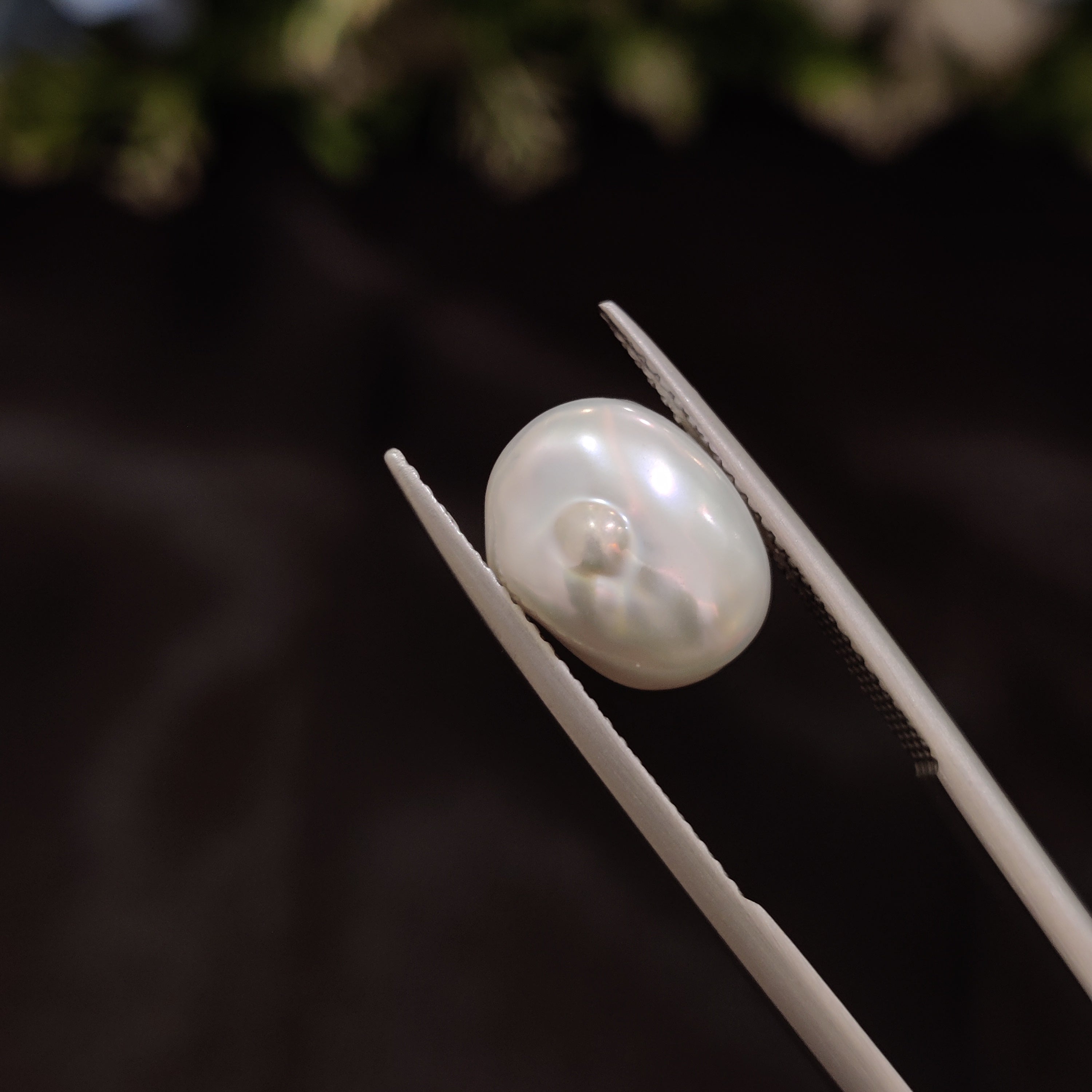 Pearl | Pearl 261 | 4.62 Carat