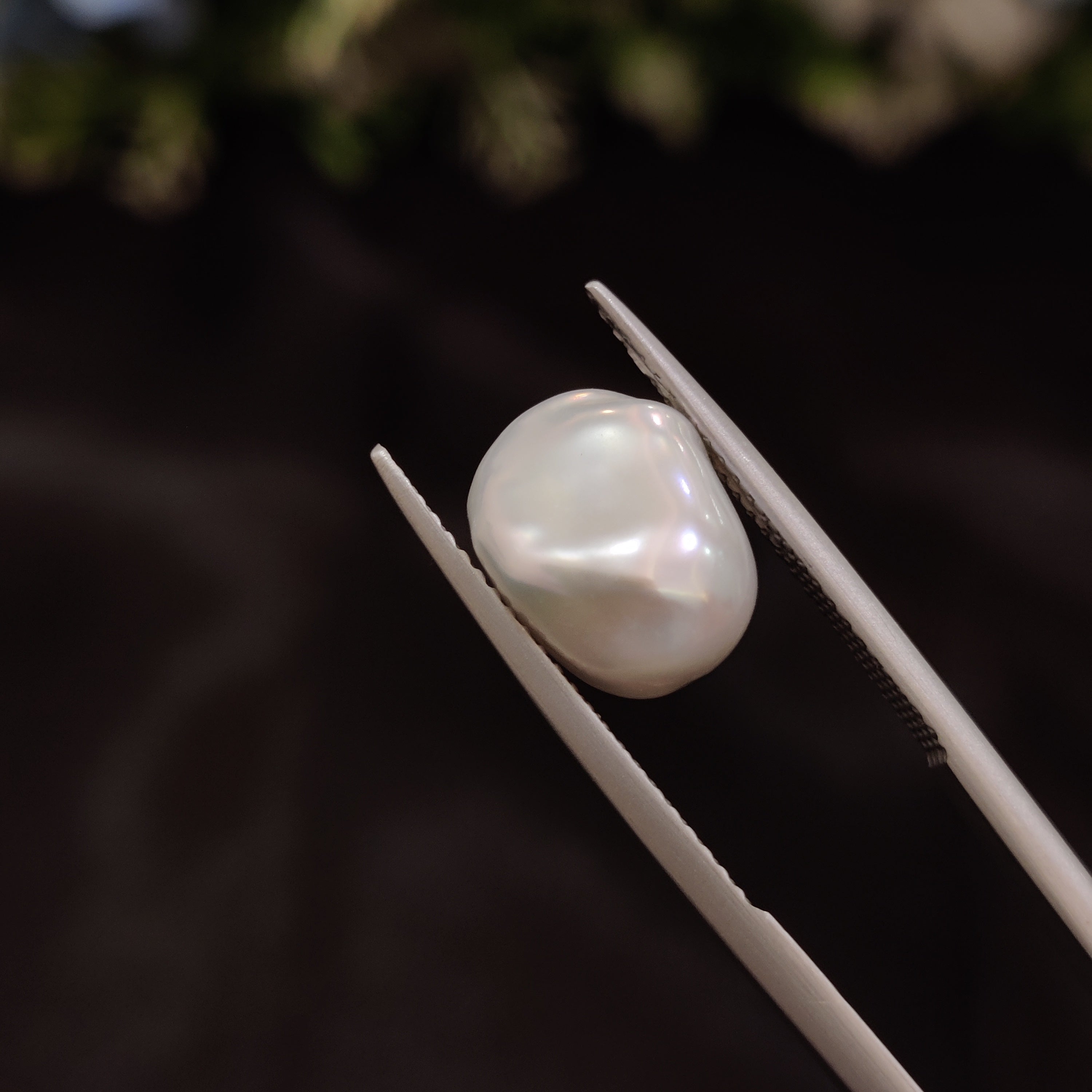 Pearl | Pearl 261 | 4.62 Carat