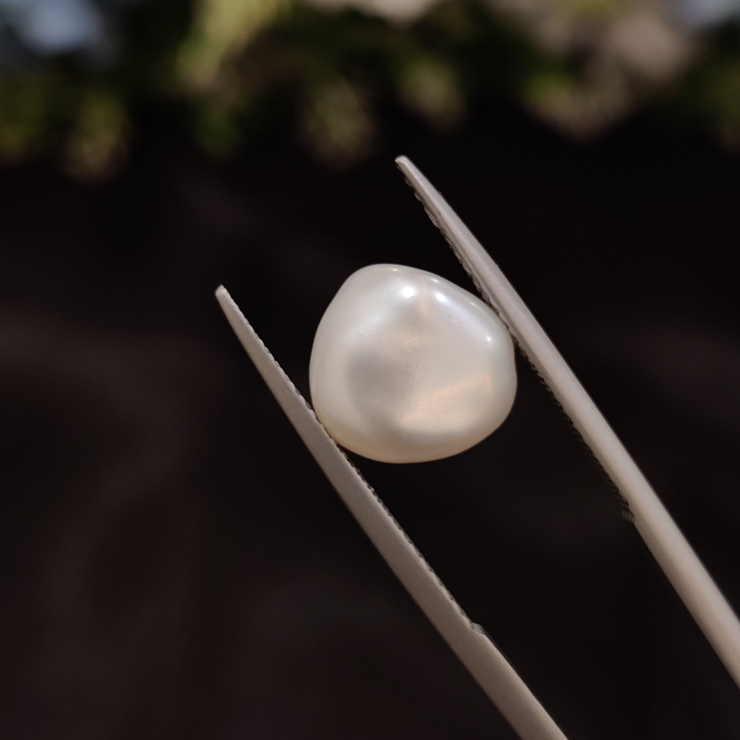 Pearl | Pearl 263 | 5.1 Carat