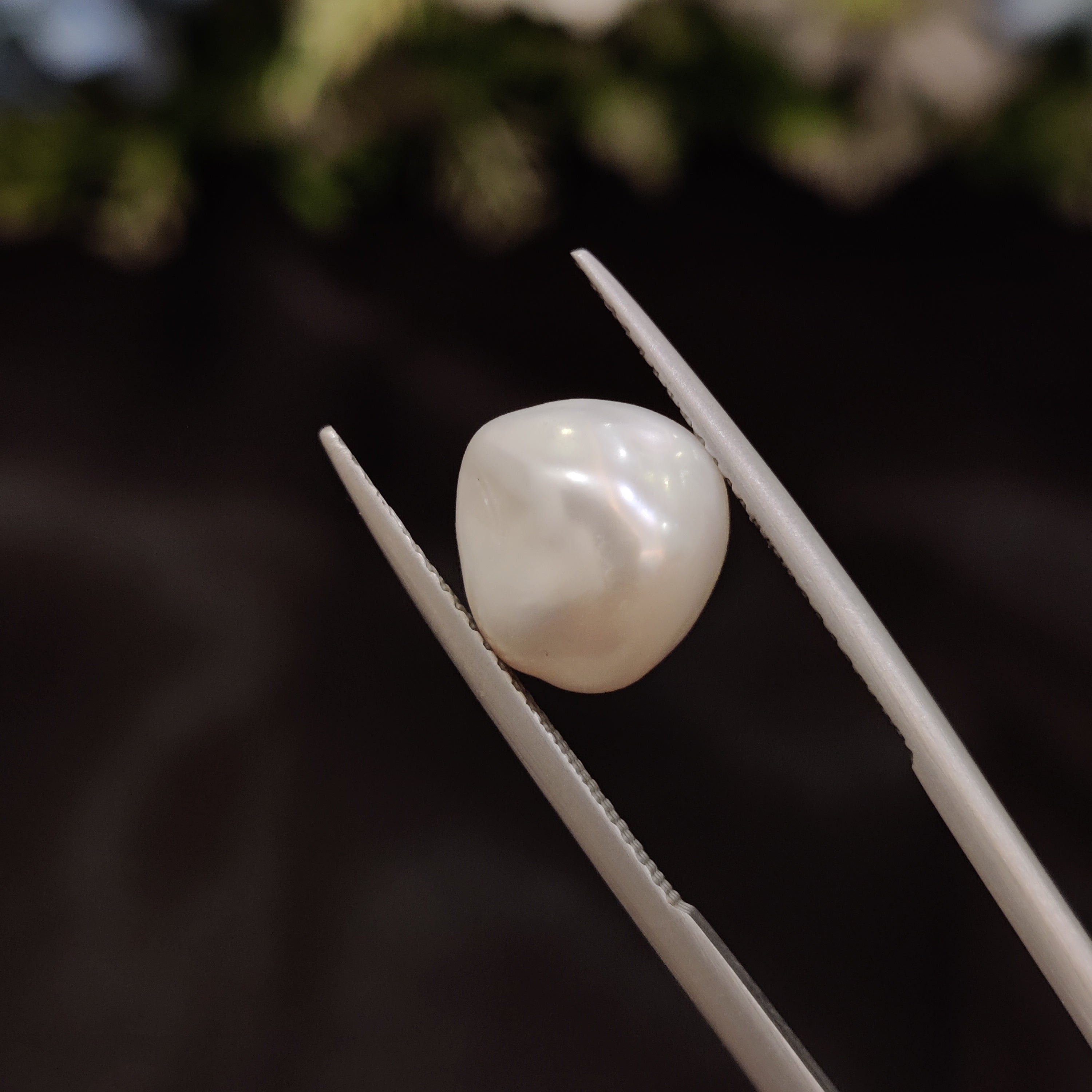Pearl | Pearl 263 | 5.1 Carat