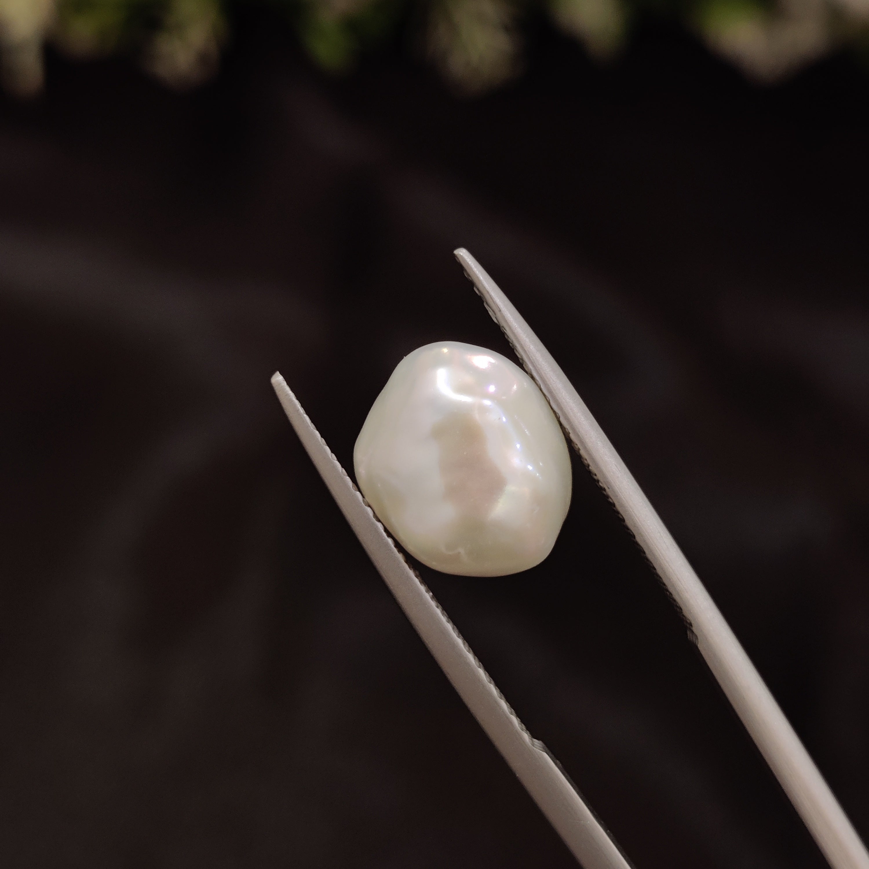 Pearl | Pearl 268 | 5.1 Carat