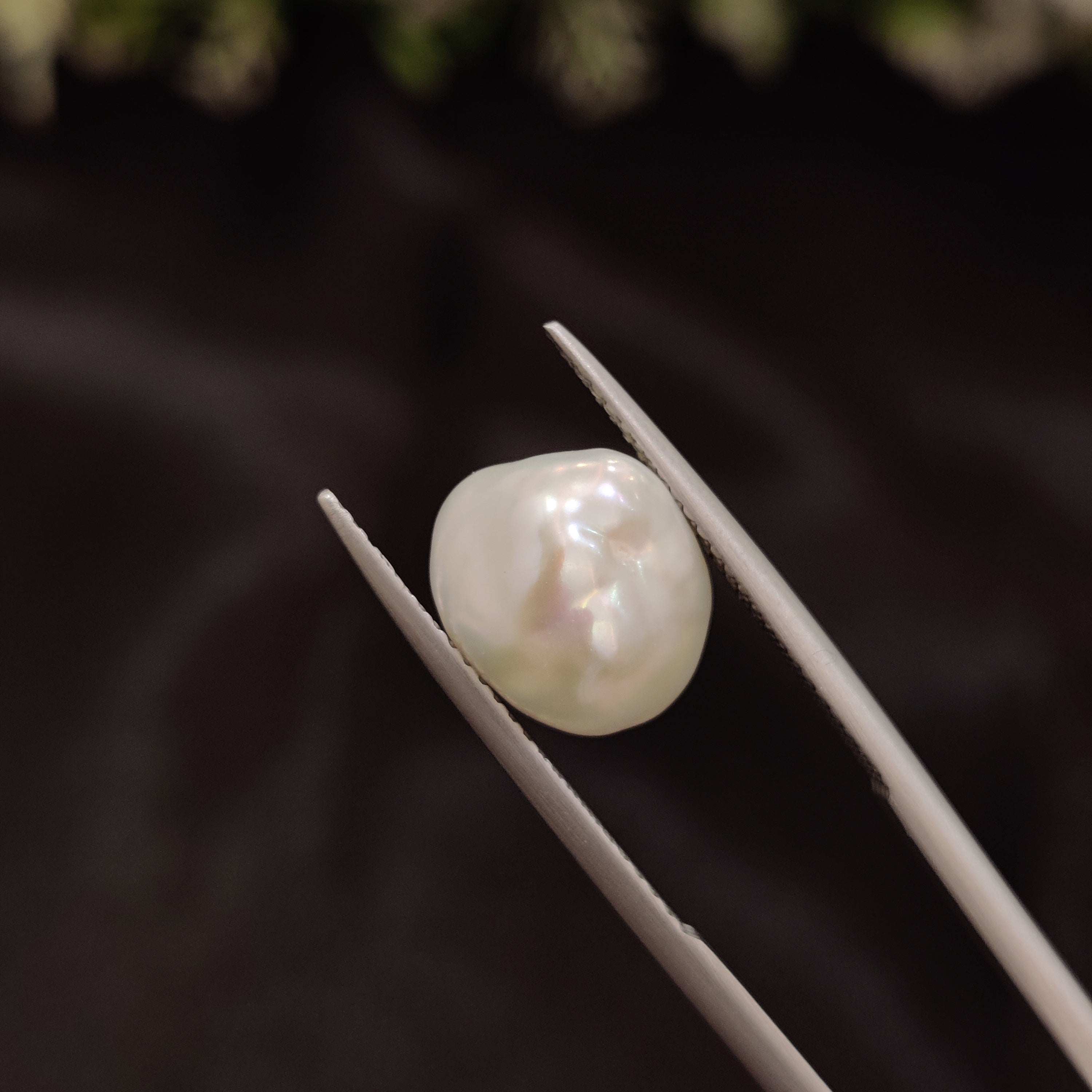 Pearl | Pearl 268 | 5.1 Carat
