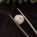 Pearl | Pearl 265 | 4.94 Carat