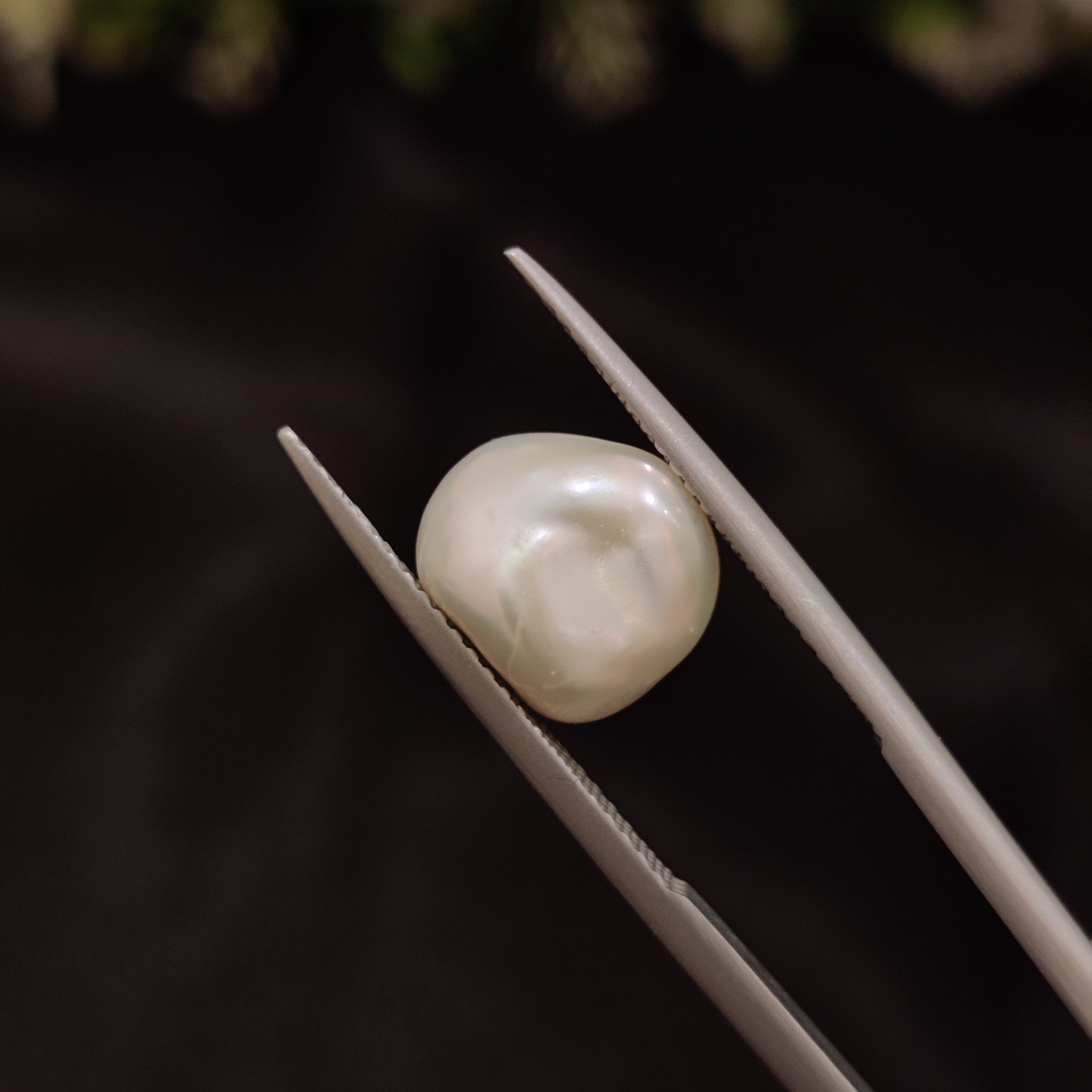 Pearl | Pearl 265 | 4.94 Carat