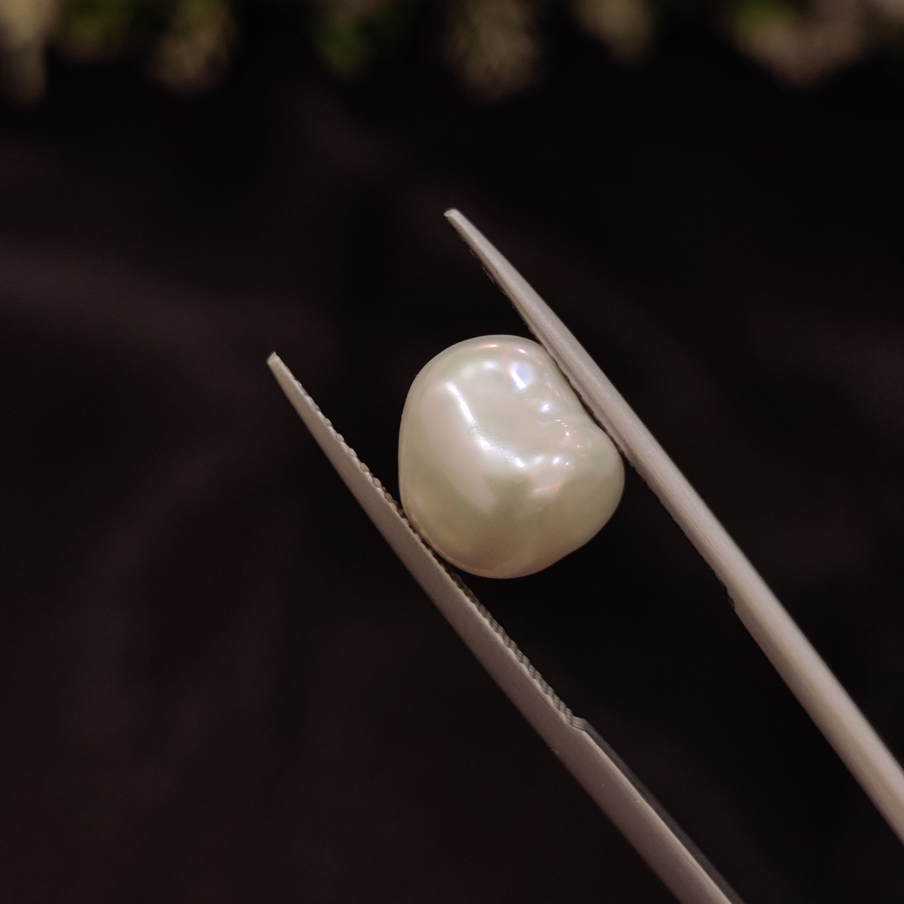 Pearl | Pearl 265 | 4.94 Carat
