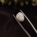 Pearl | Pearl 258 | 4.83 Carat