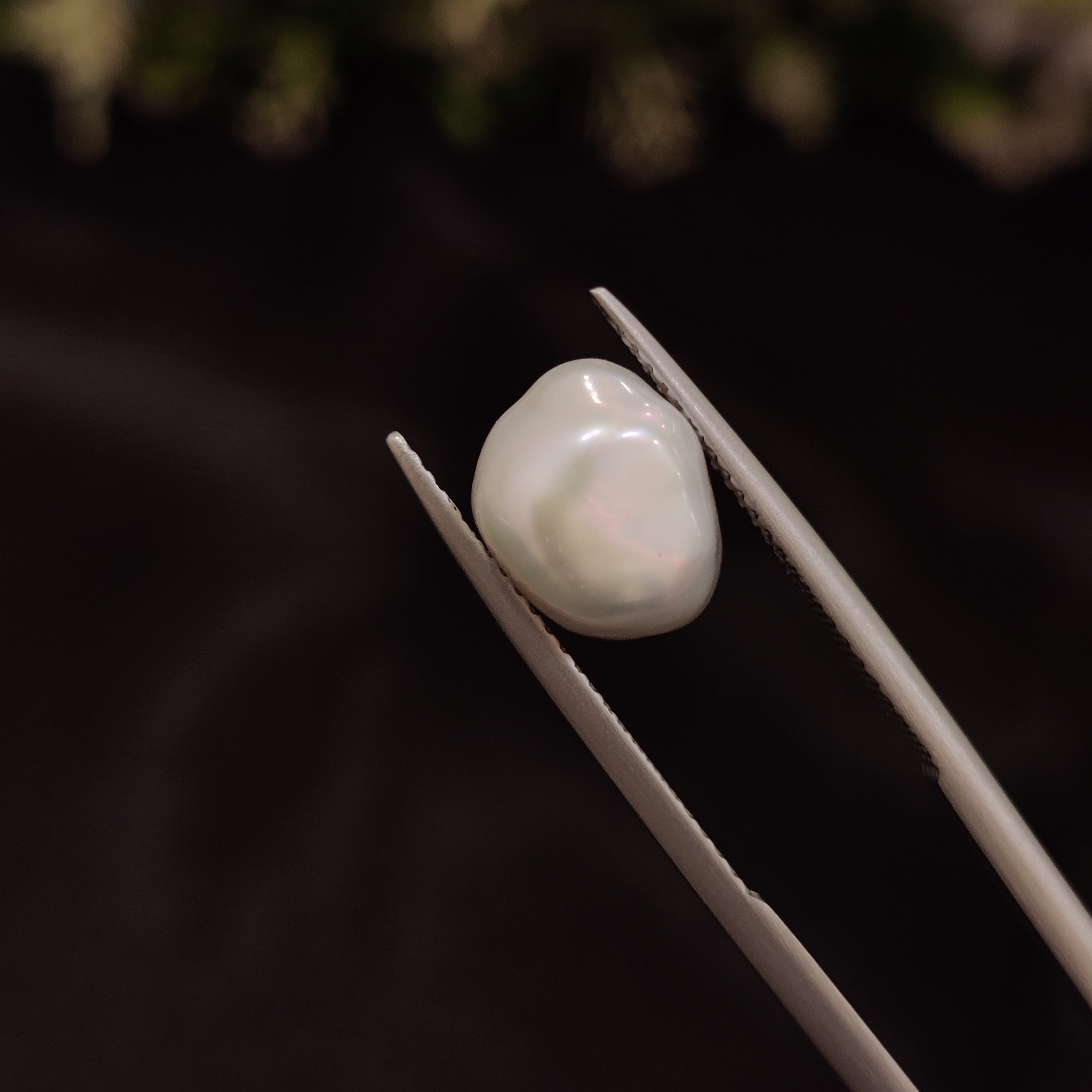 Pearl | Pearl 258 | 4.83 Carat