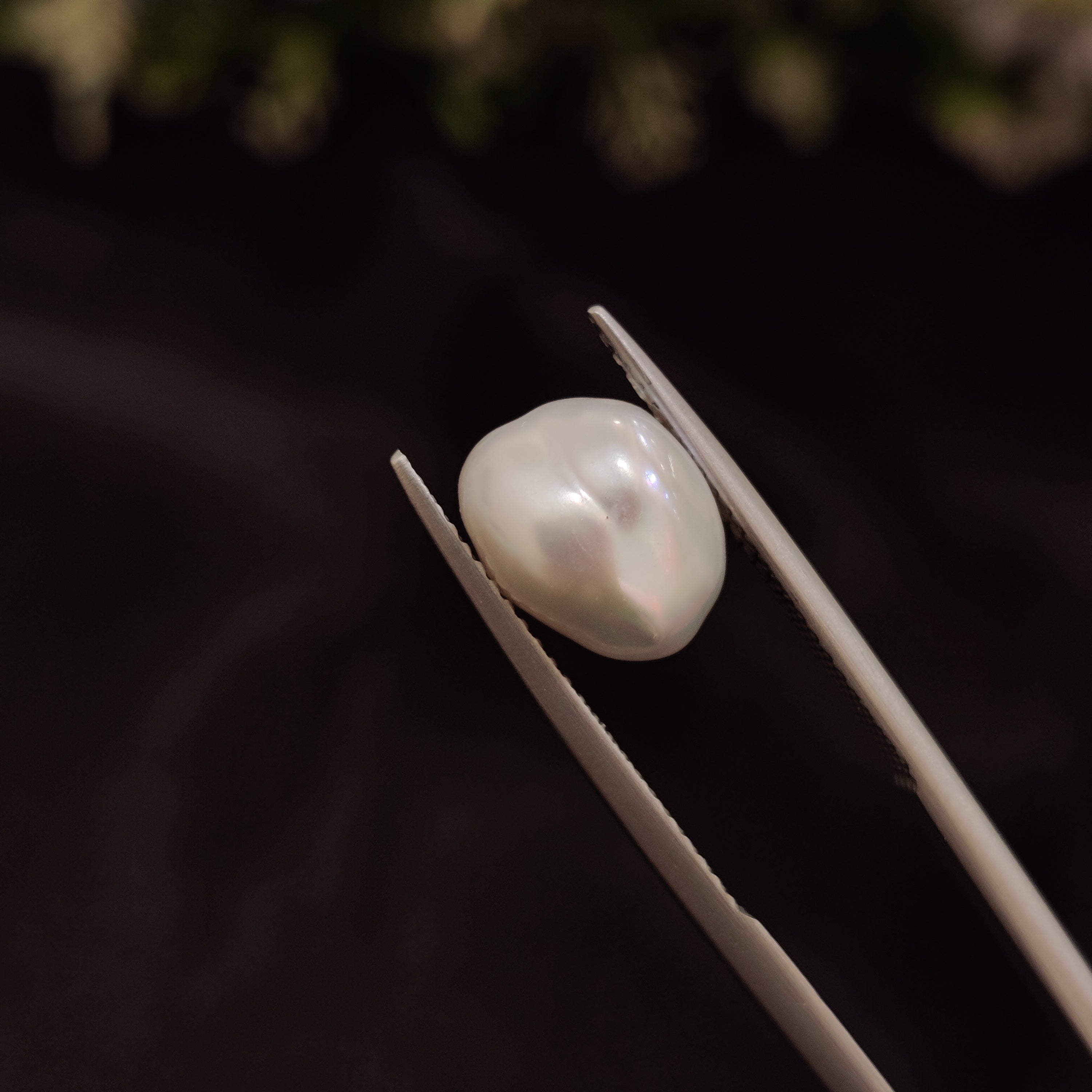 Pearl | Pearl 258 | 4.83 Carat