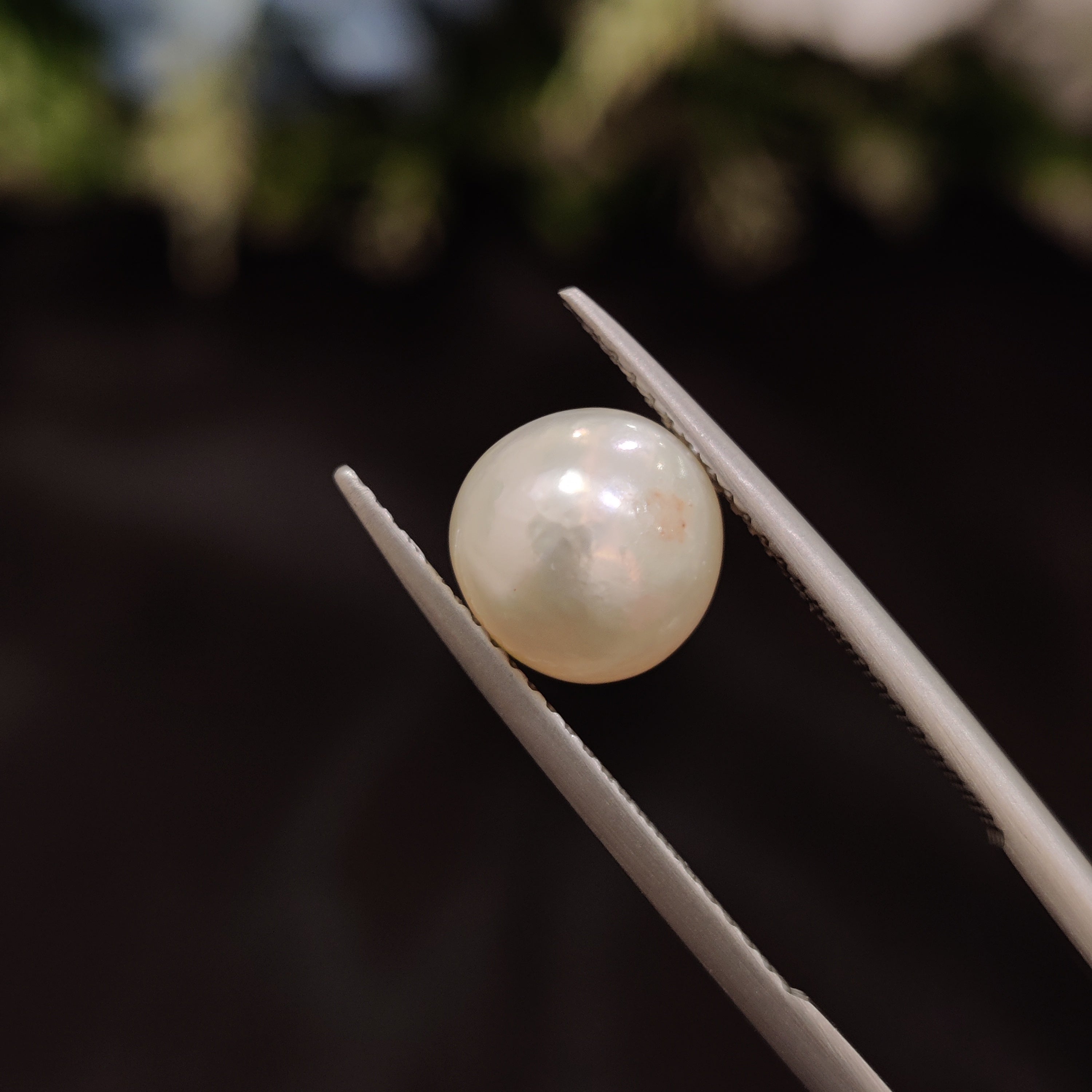 Pearl | Pearl 76 | 4.05 Carat